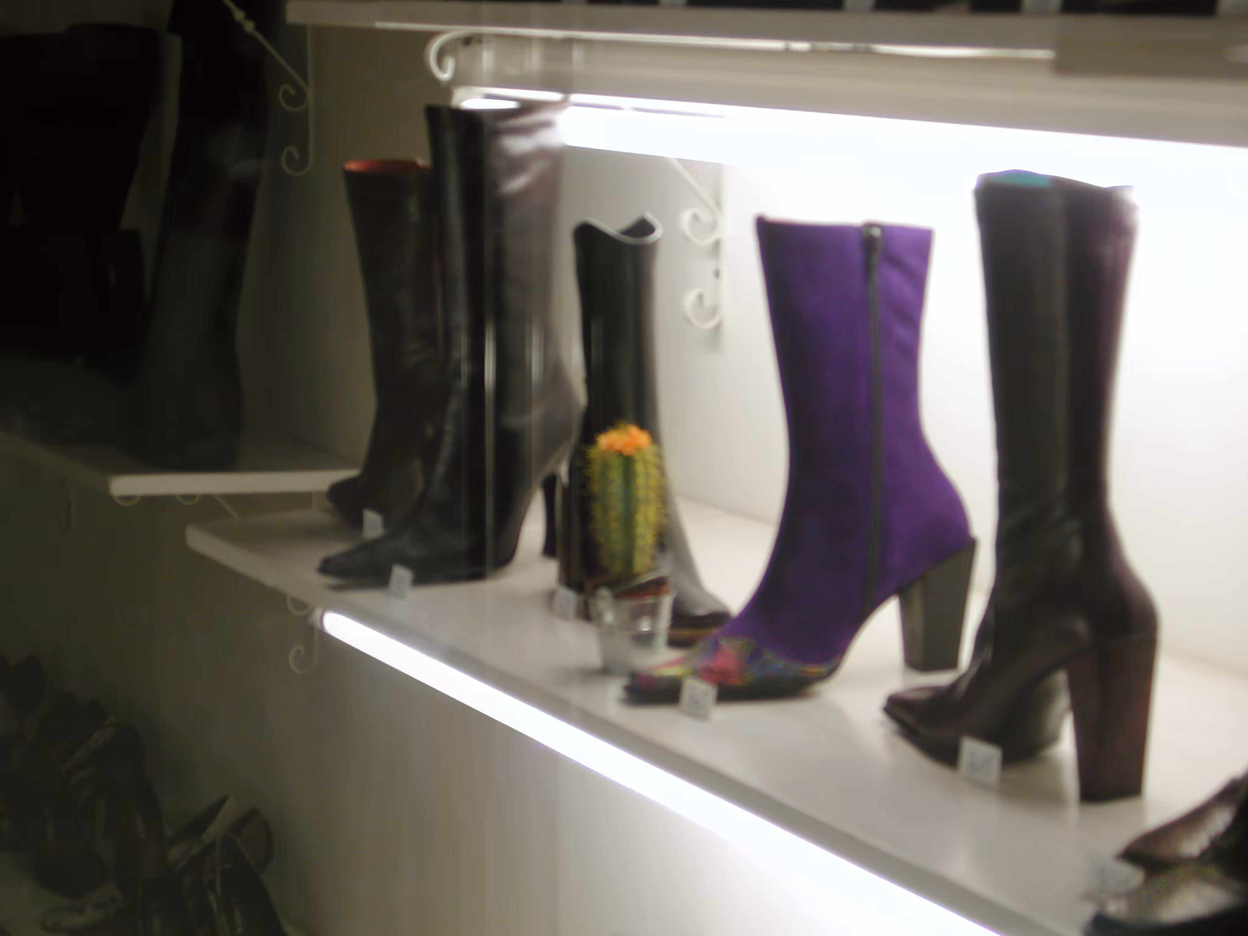 These Boots Are Made For Walkin' #016