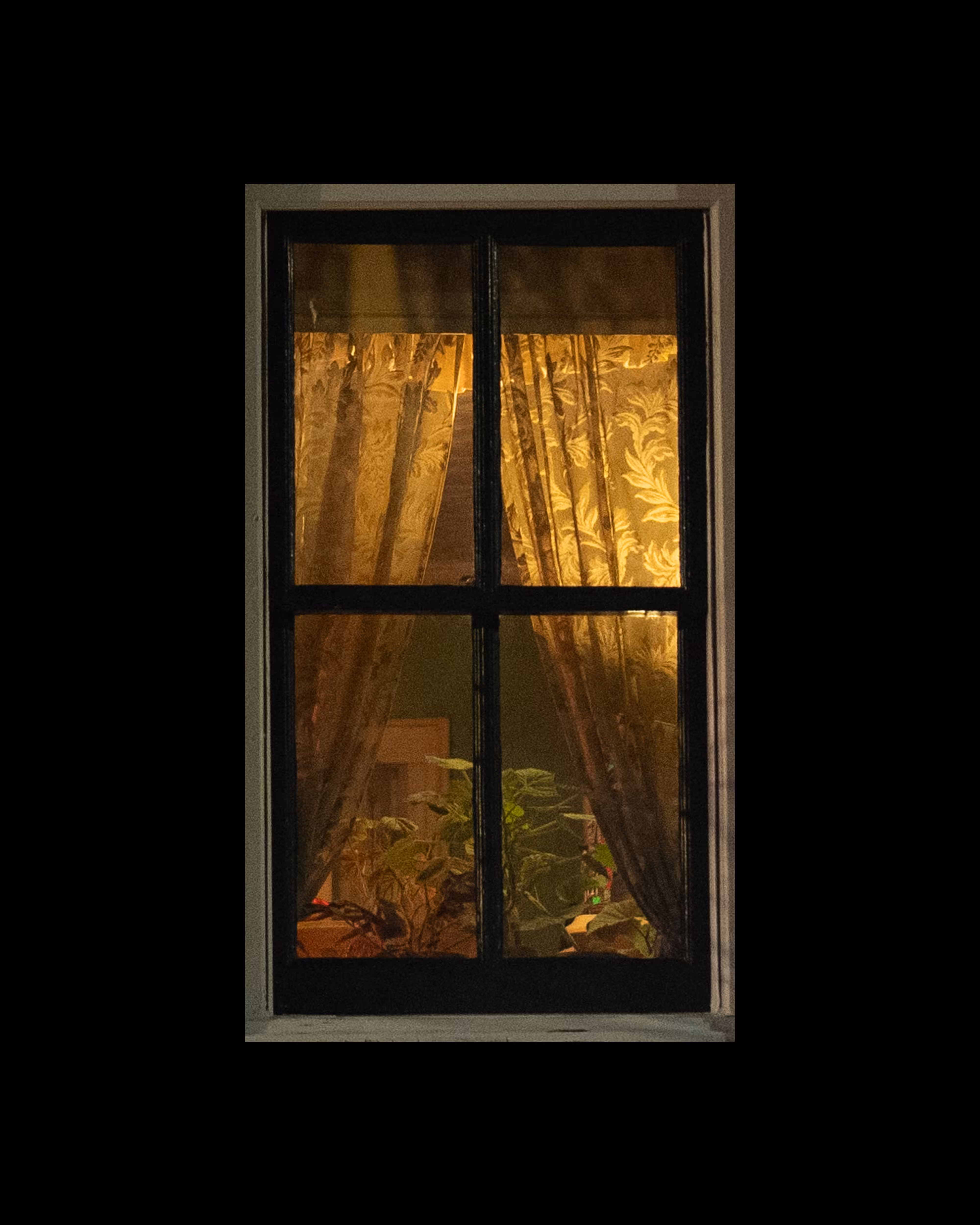 WINDOWS // NYC: WINDOW 546