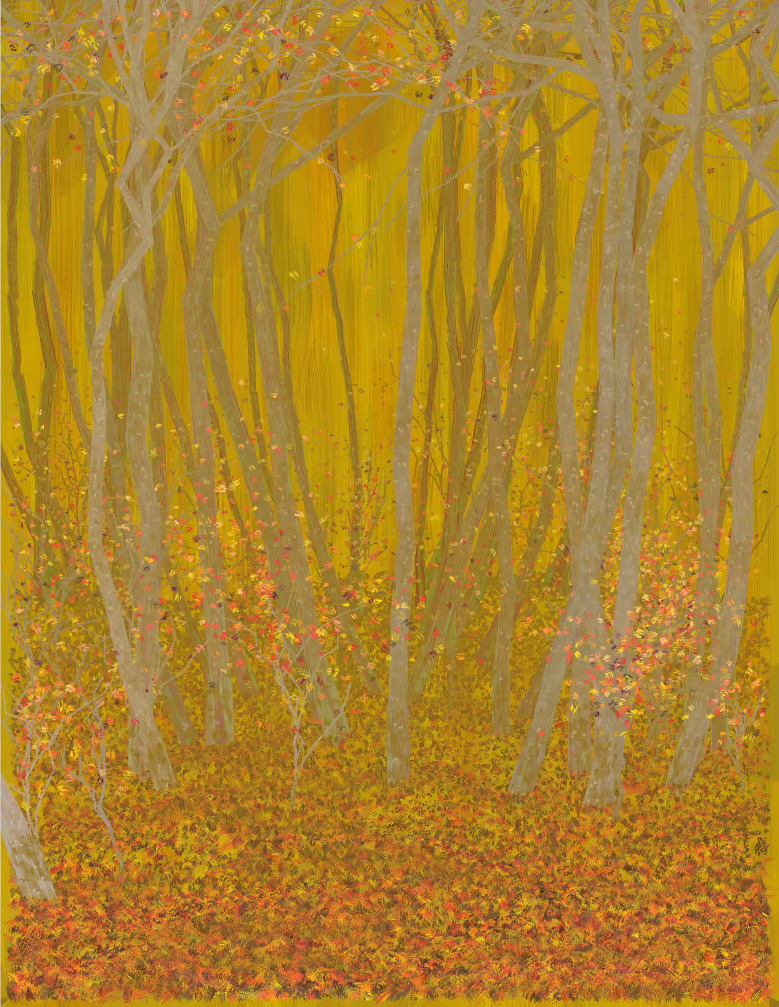 Deep Forest #26