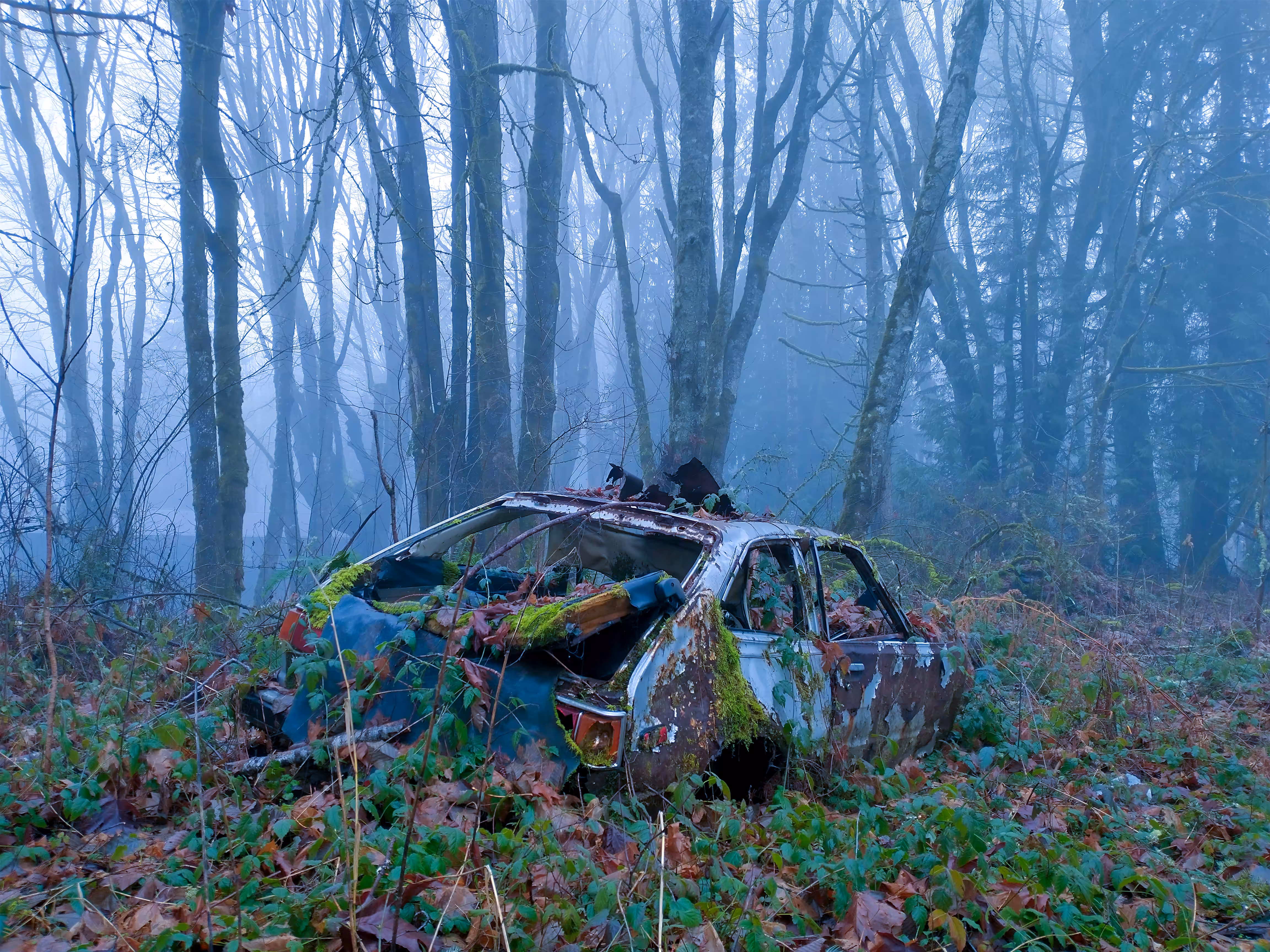 Car Compost 2