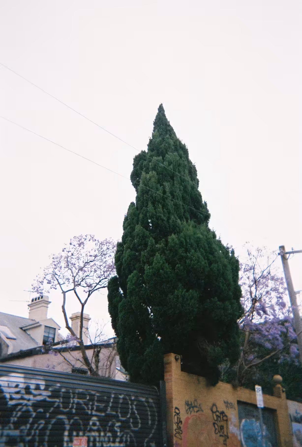 Day130- S l e e p y #5