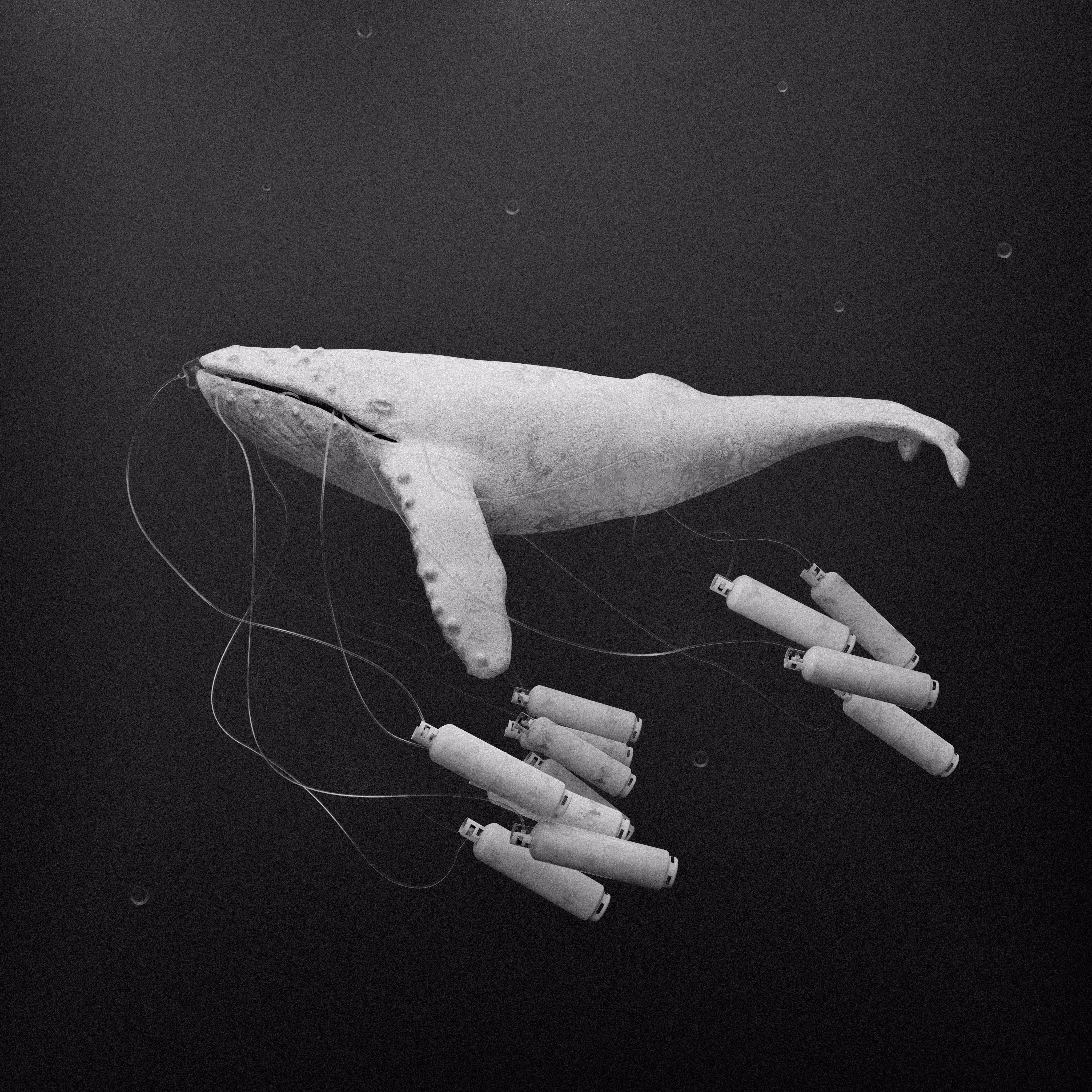 Non Fungible Whale [PoW]