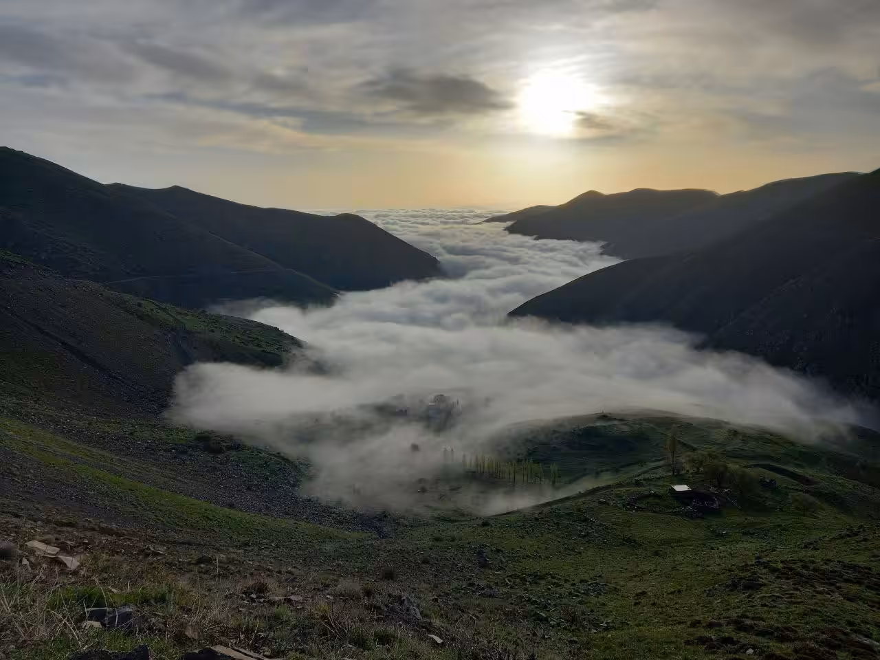 Clouds jungle