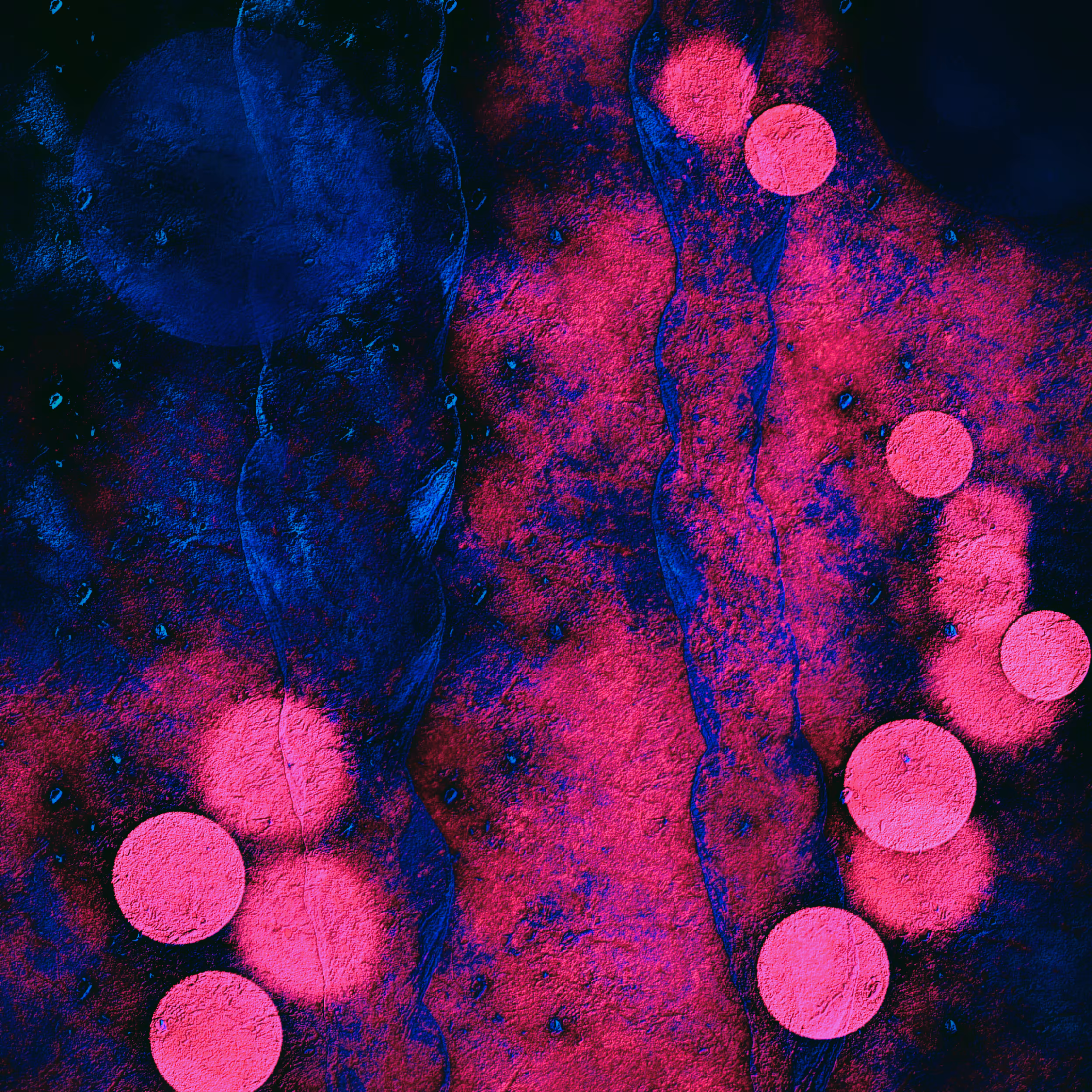 Oceanum Mirabilia 