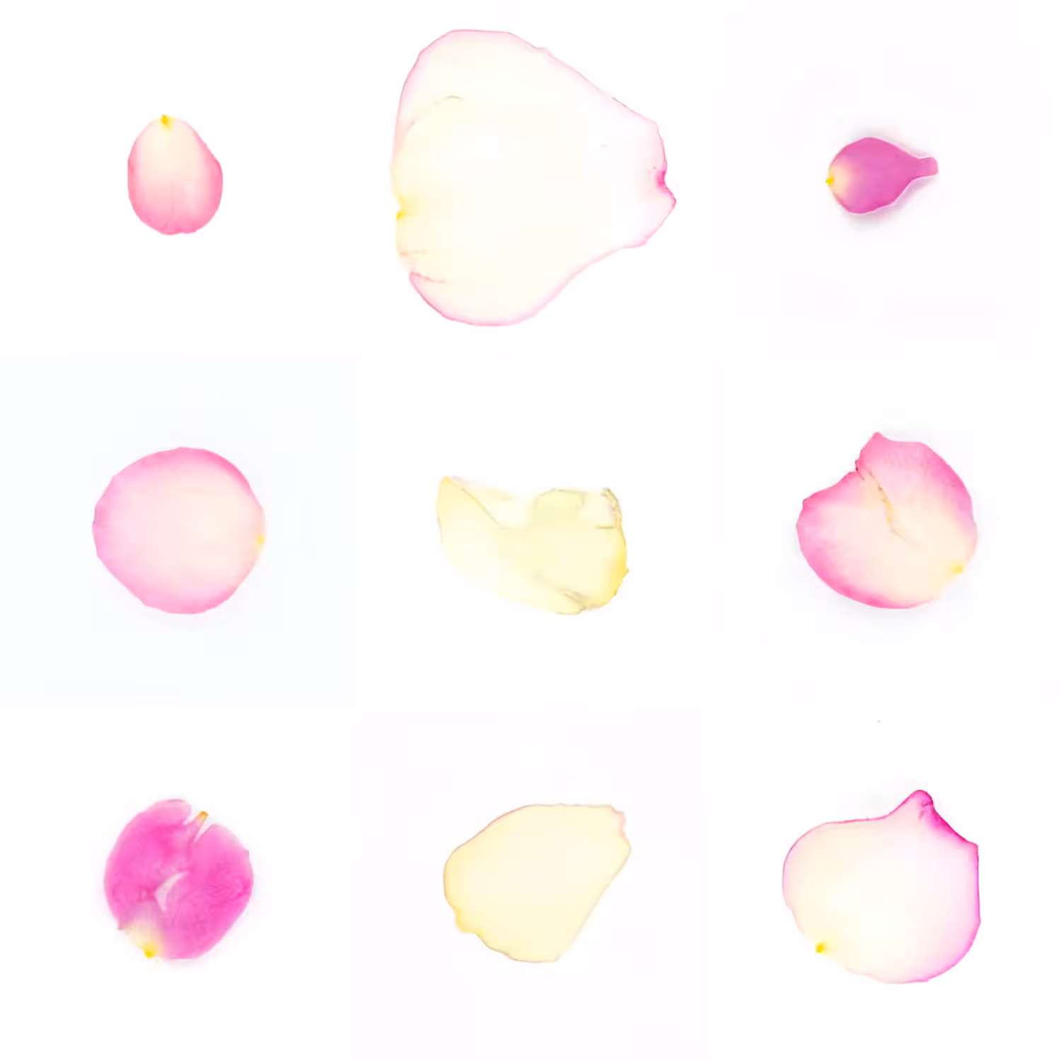 Infinite Petals 3x3#2703