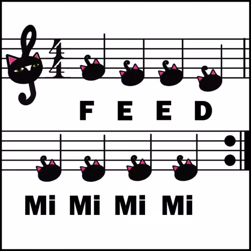 Ninjacat Song