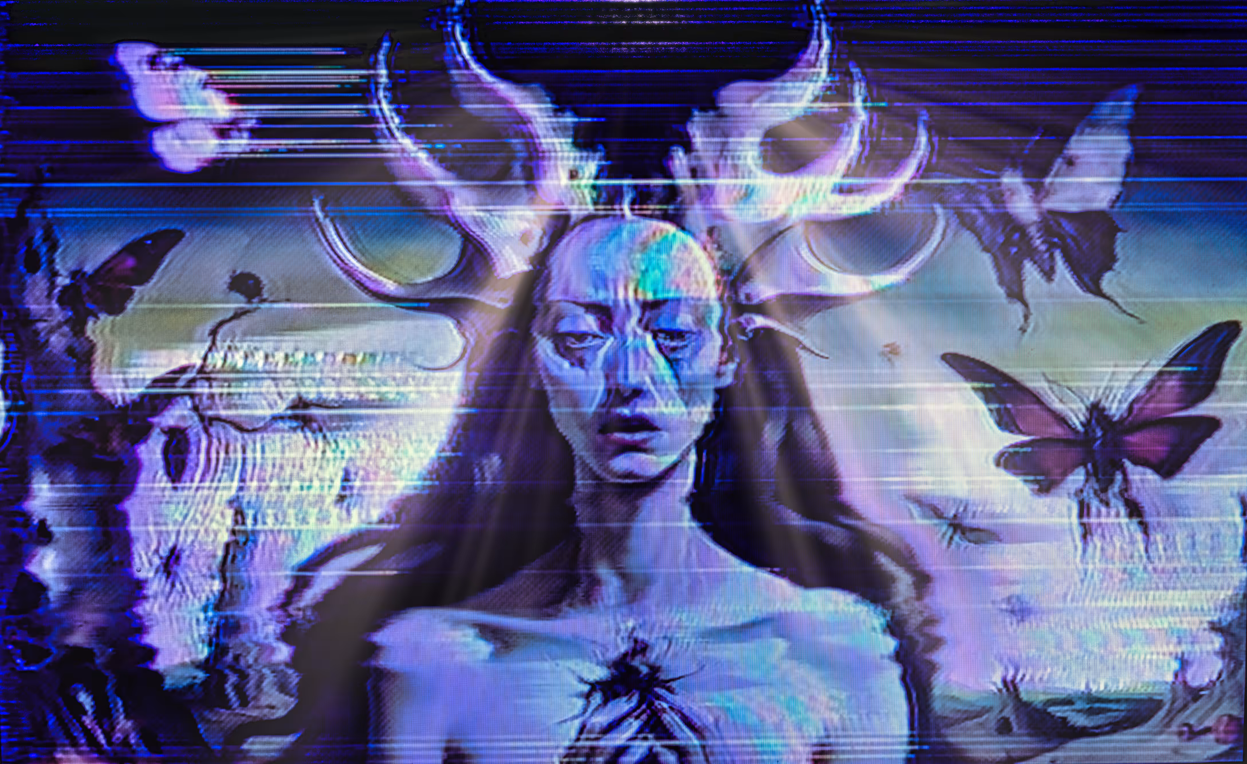 Moth