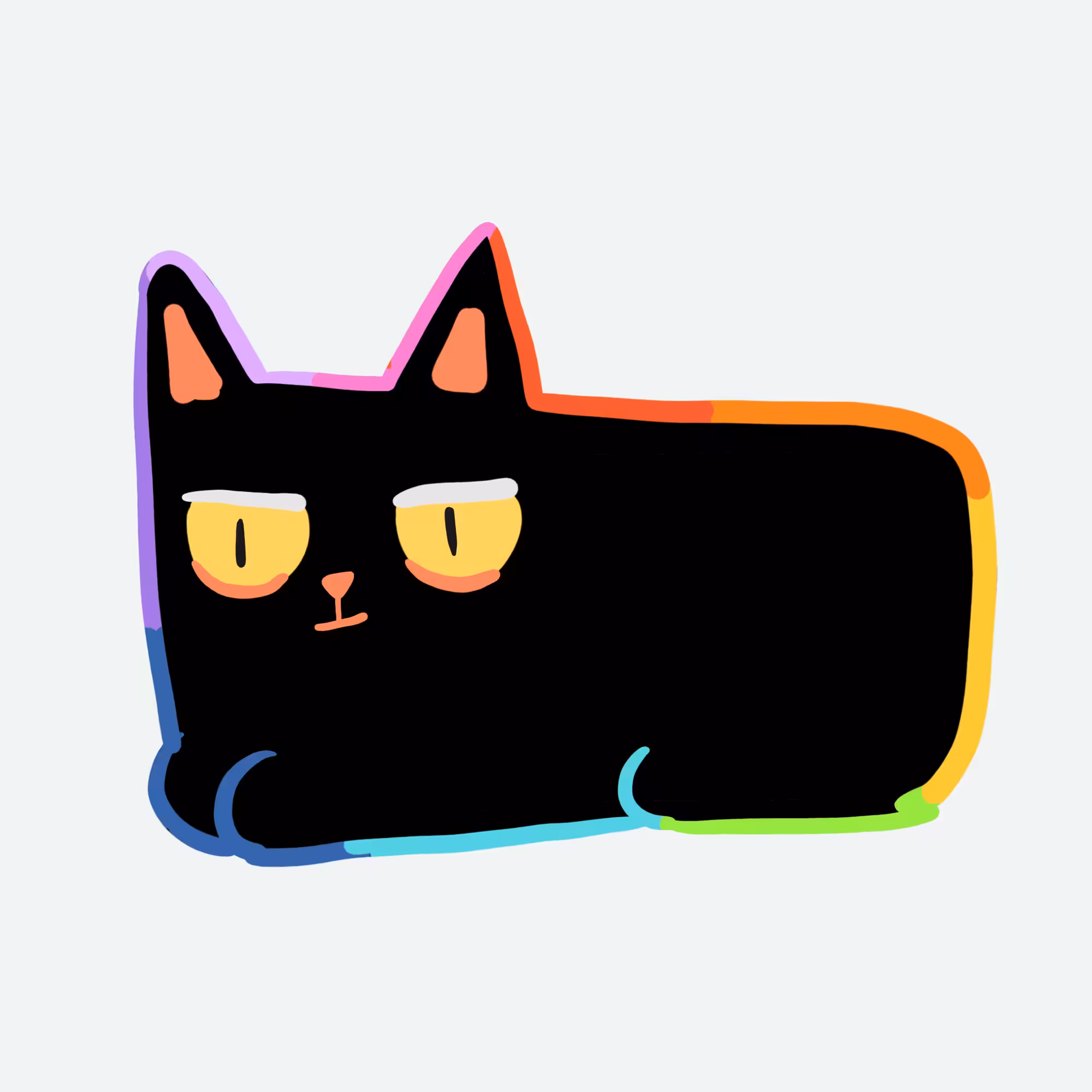 sunny black cat