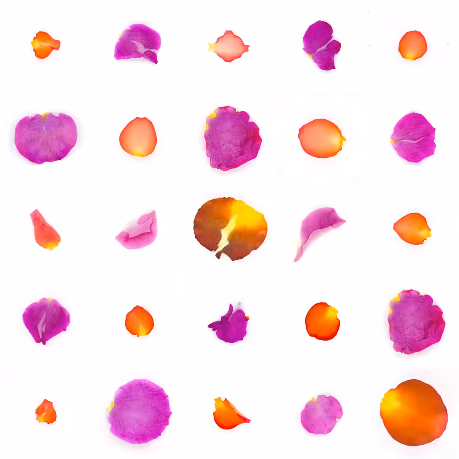 Infinite Petals 5x5#438