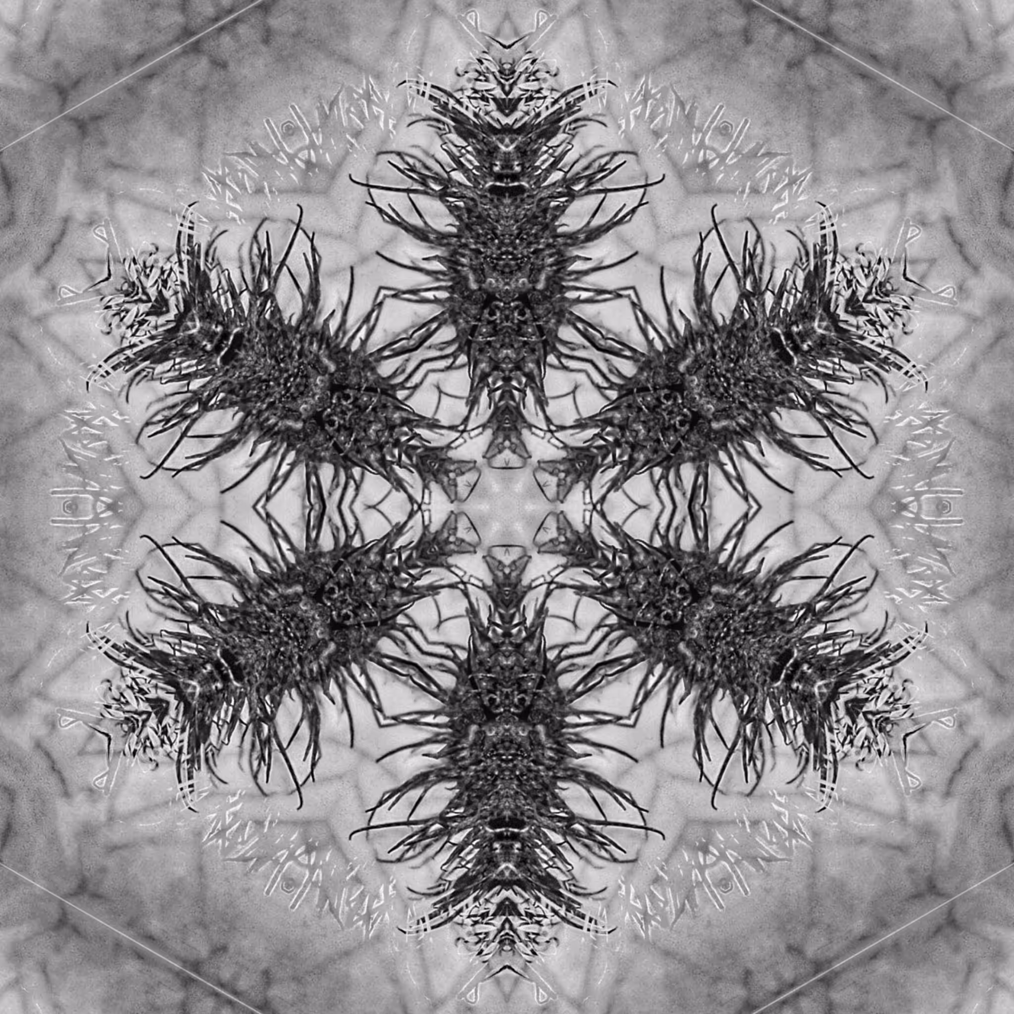 IATHAN [Urucum Altered Patterns #1]