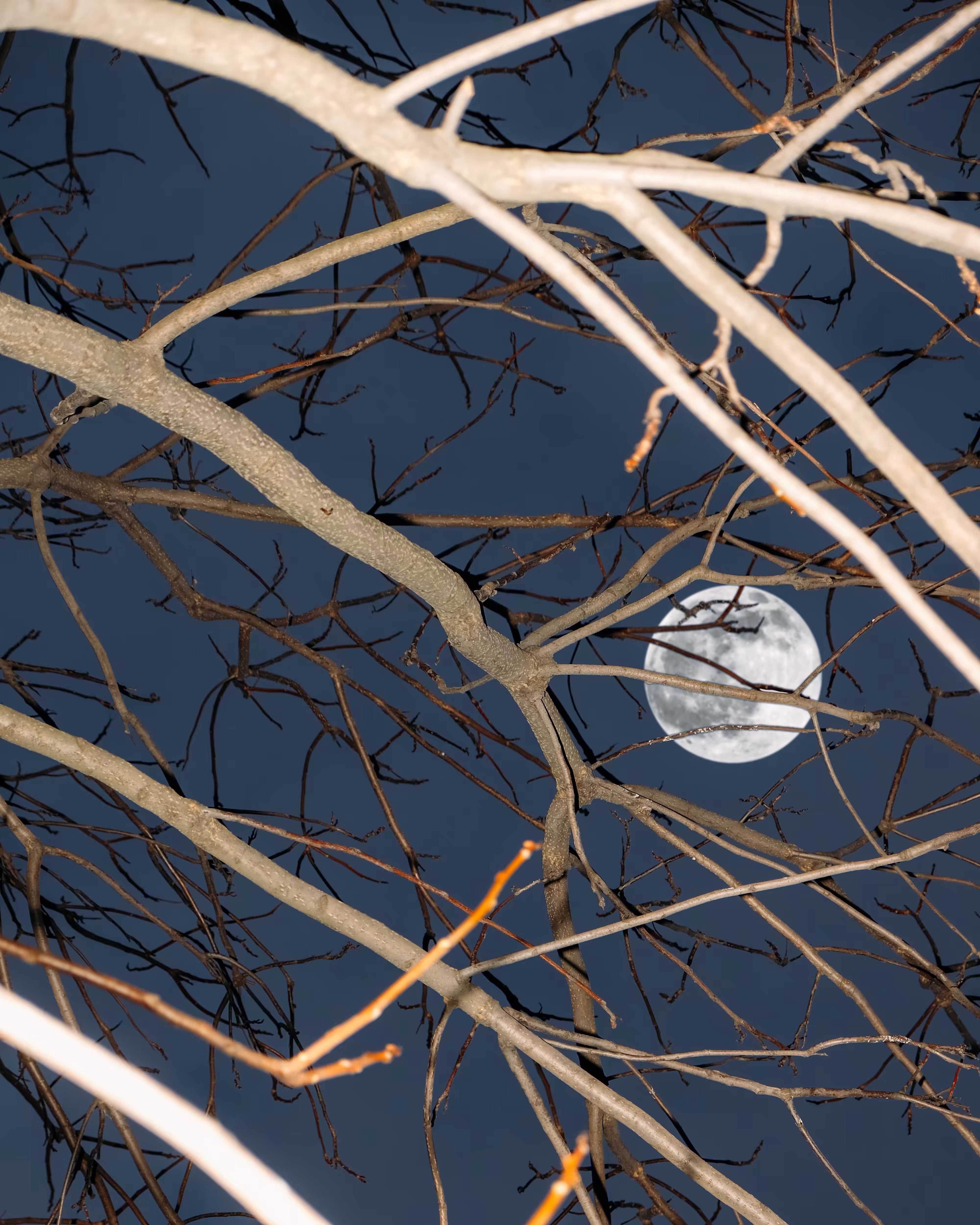 moon
