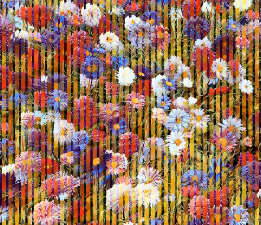 Aster Field