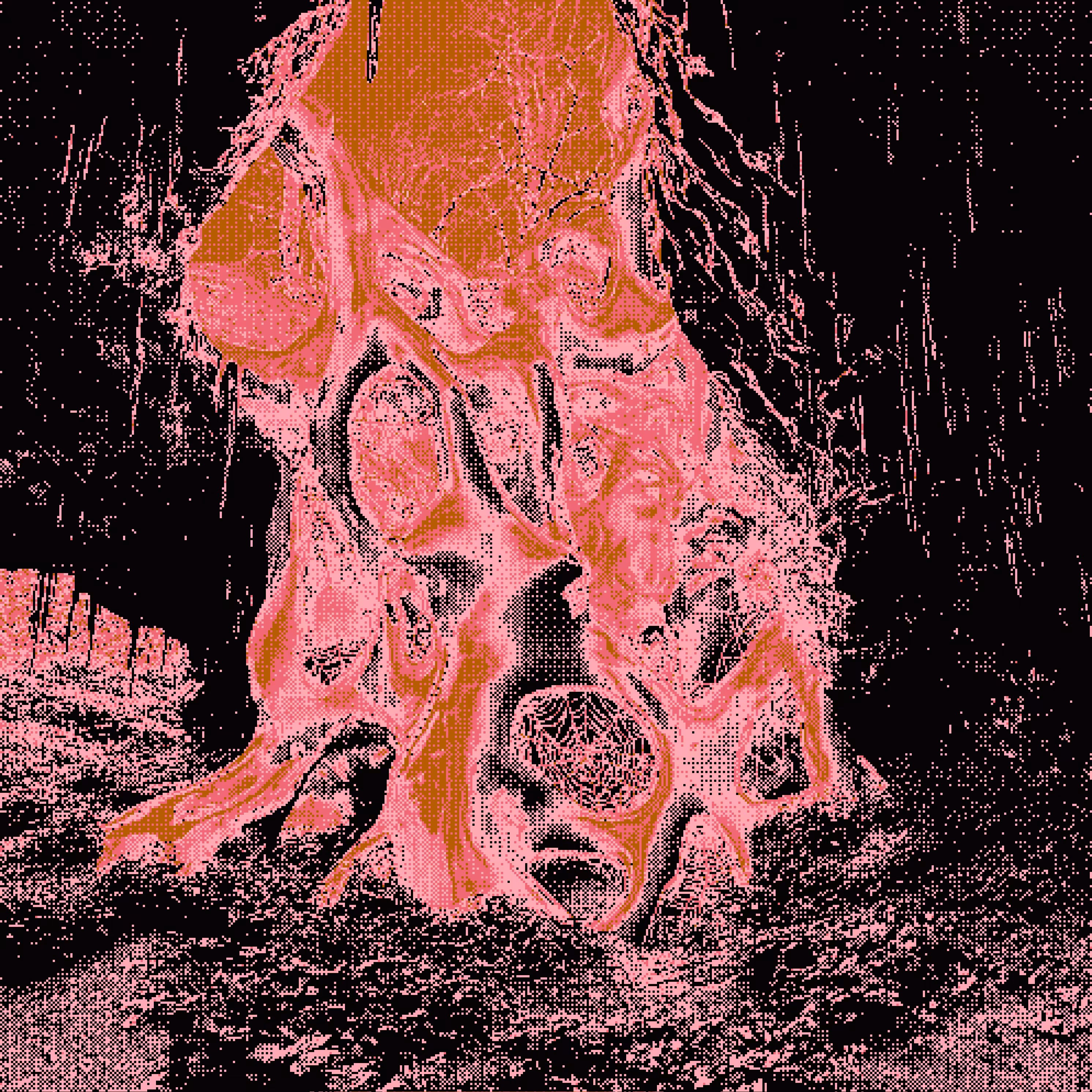 Lost in the Woods