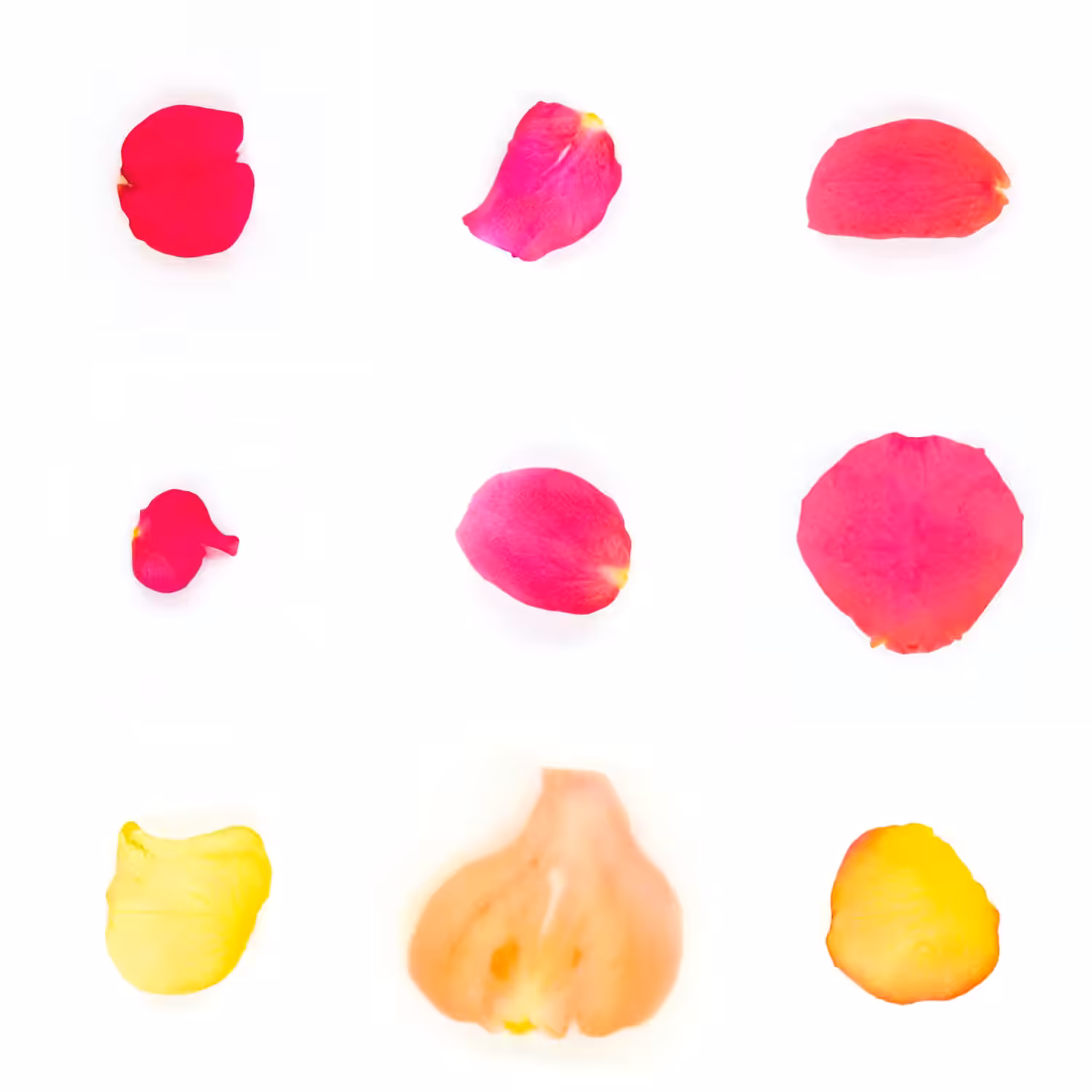 Infinite Petals 3x3#3487