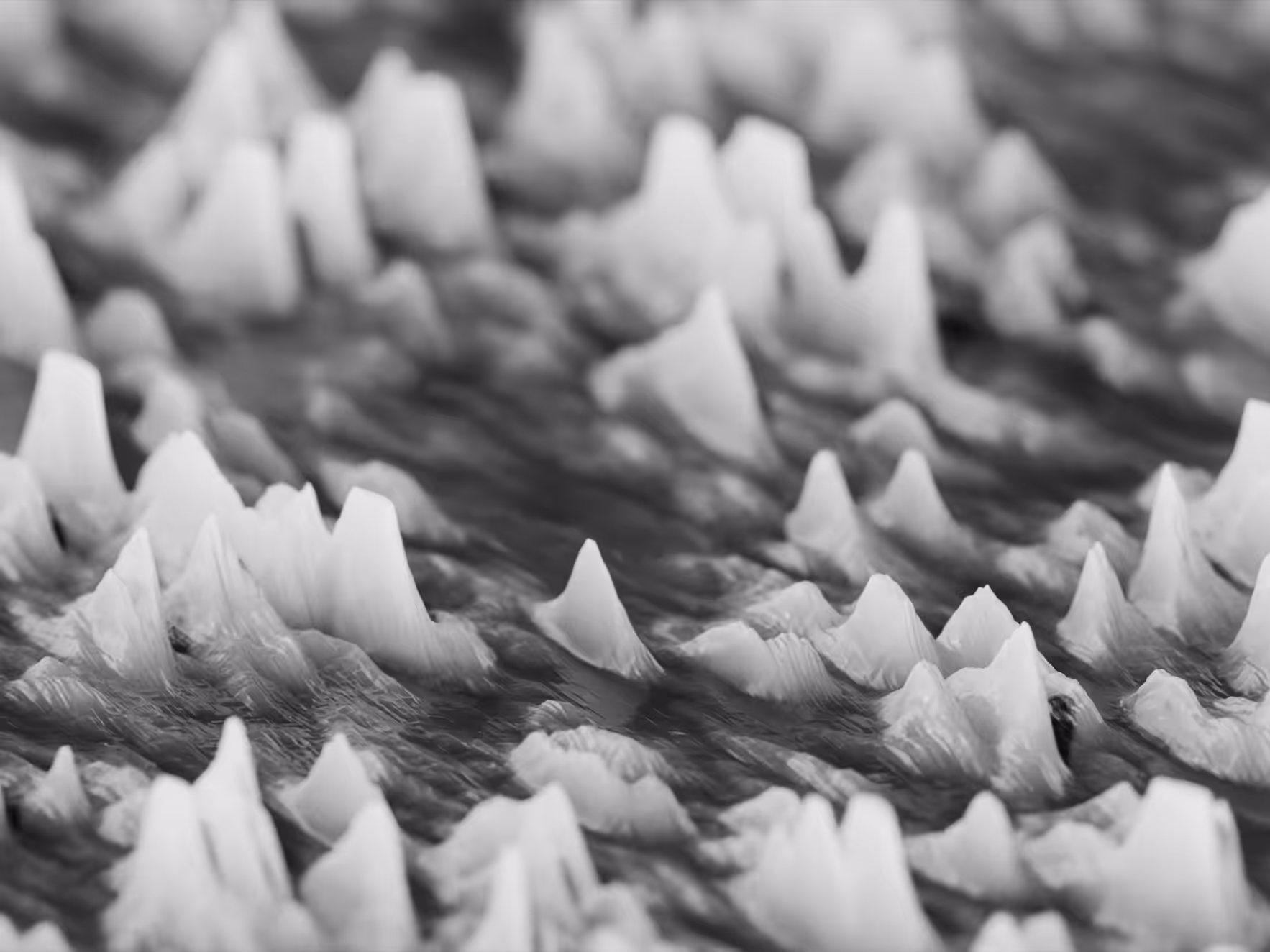PHYSARUM LANDSCAPE #8