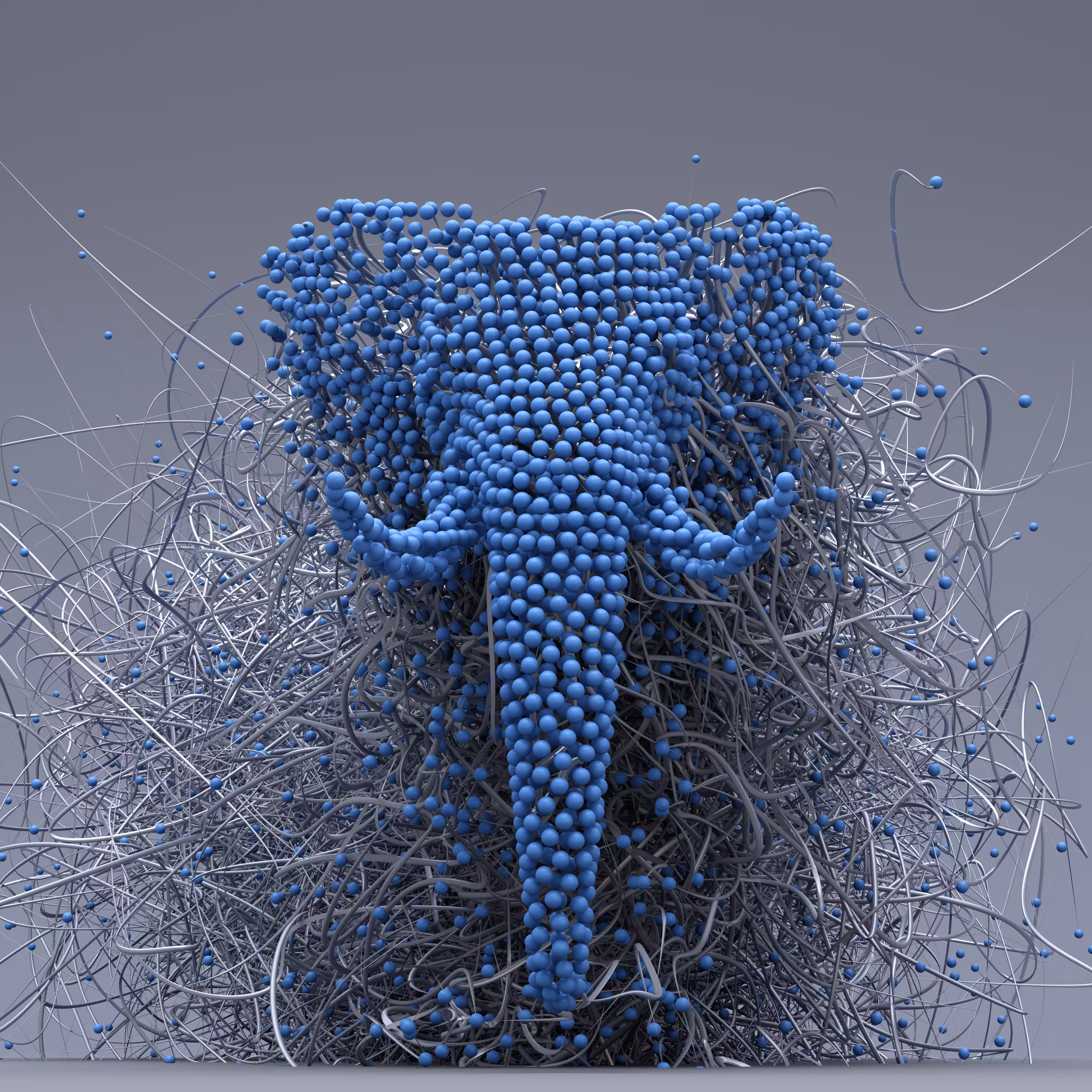 The Elephant