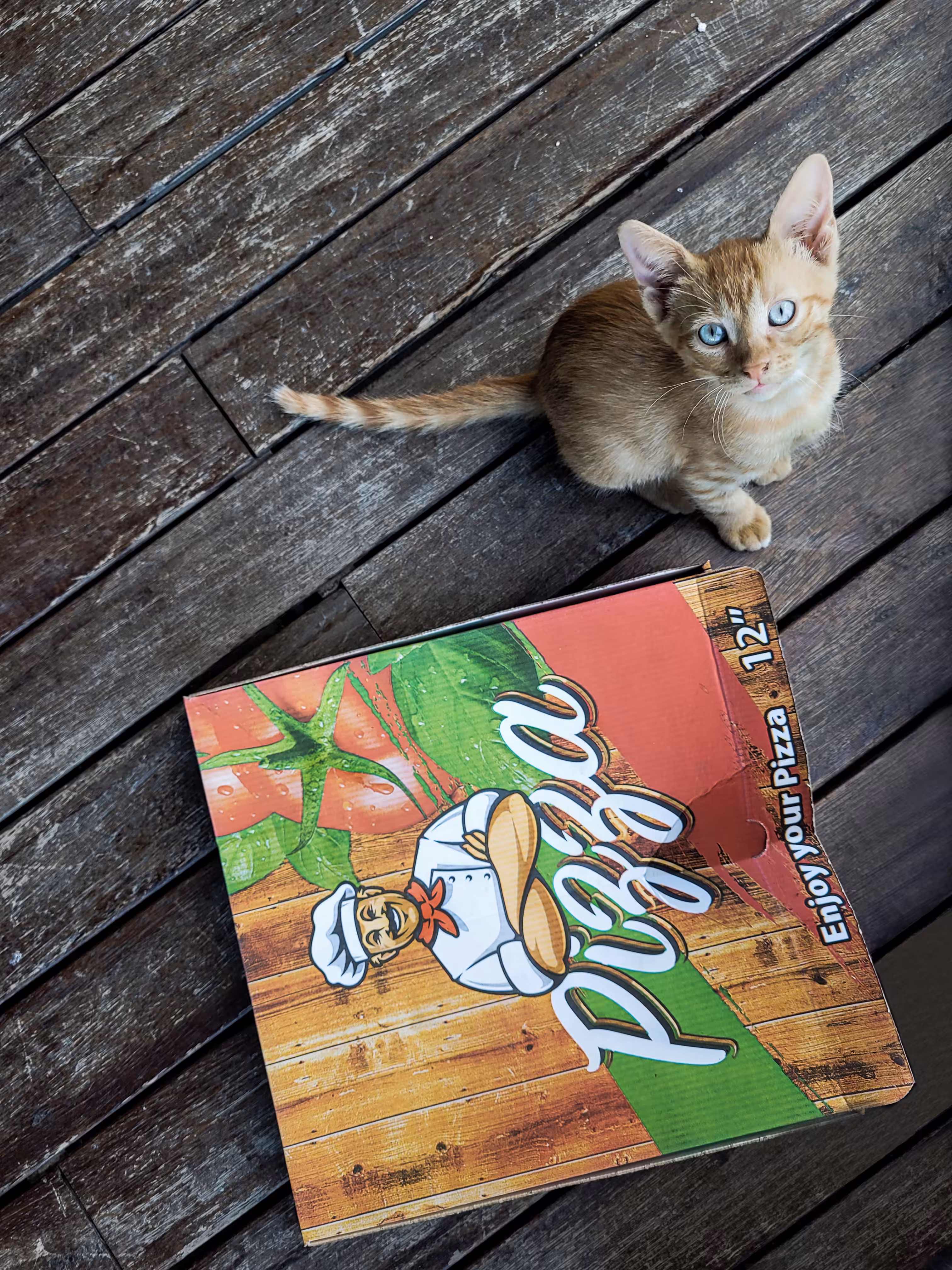 Pepper The Pizza Deliverer