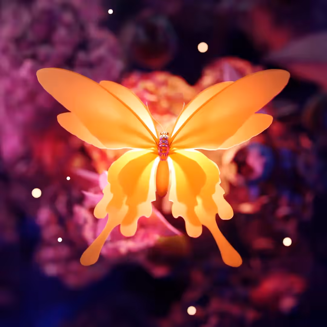 BUTTERFLY