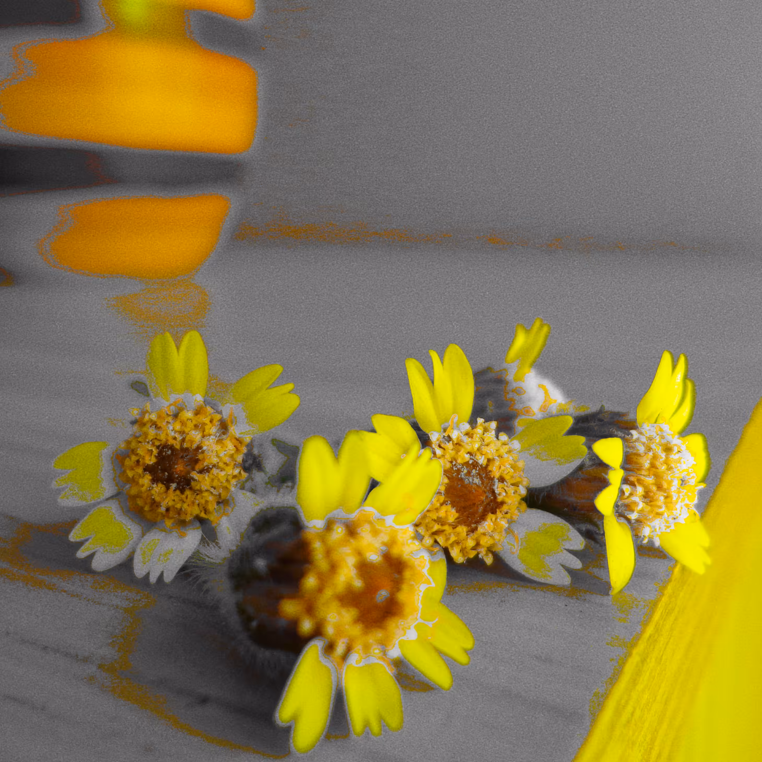 flores