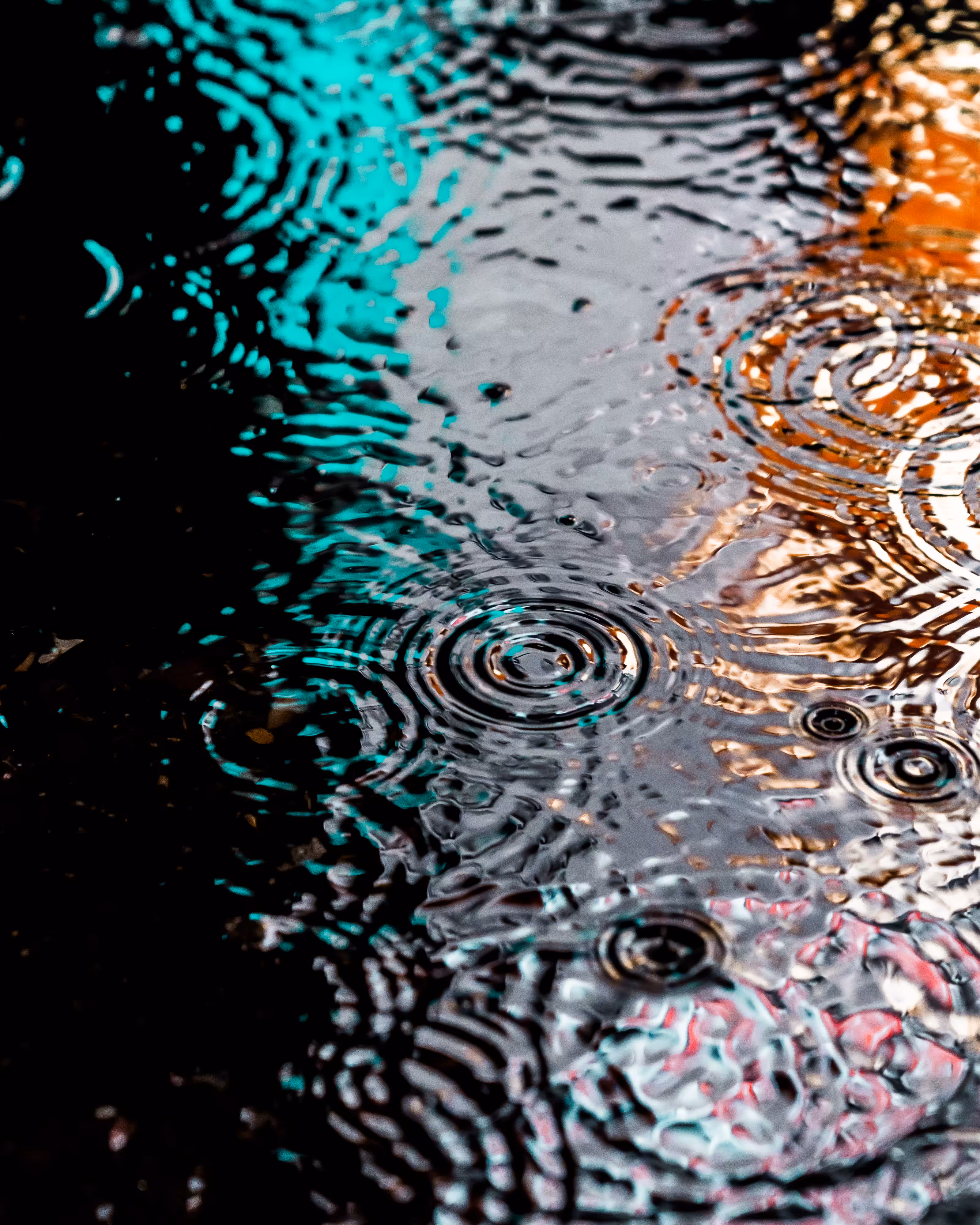 DRIP DROP: DRIP #63