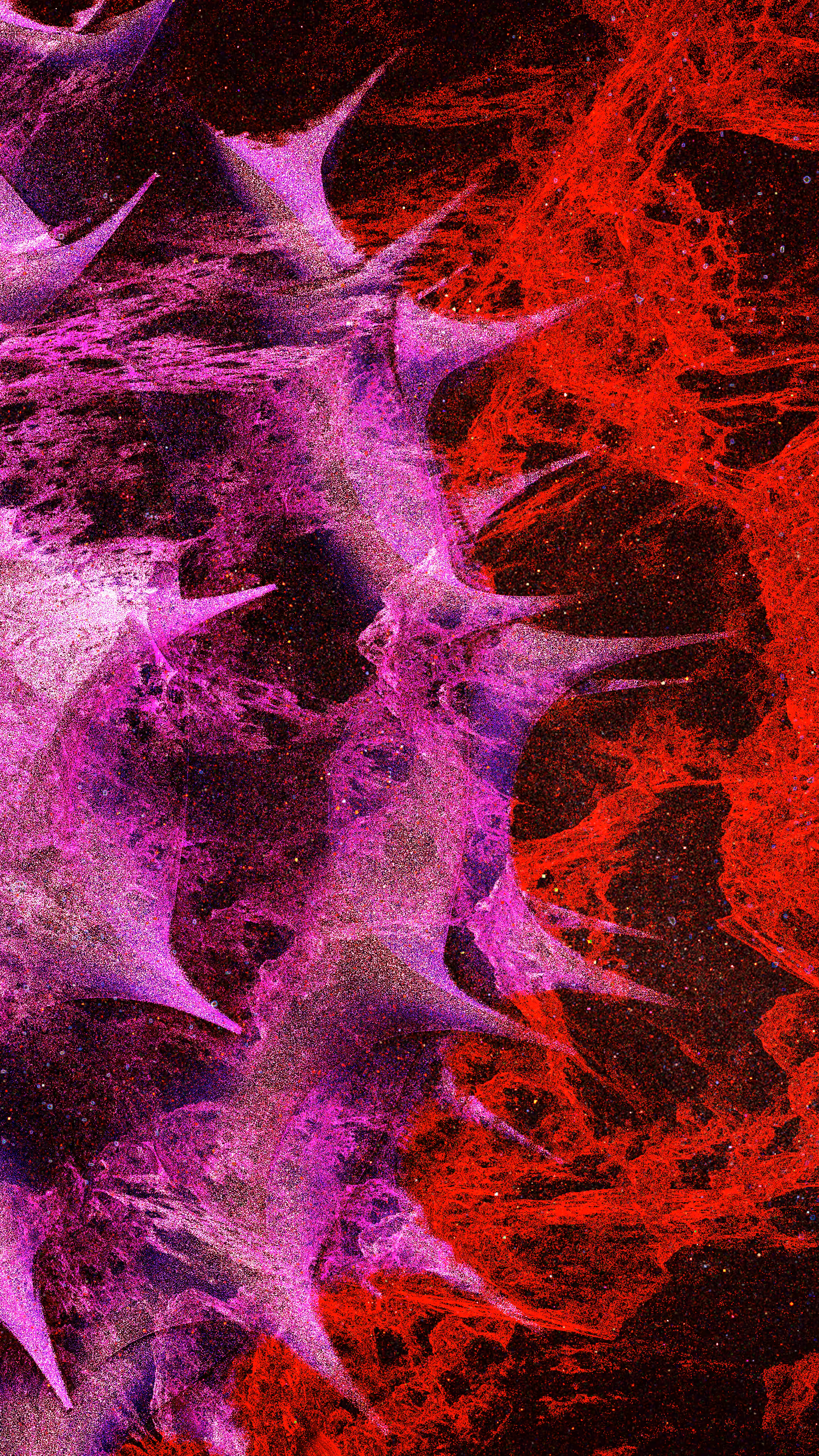 Dream #005