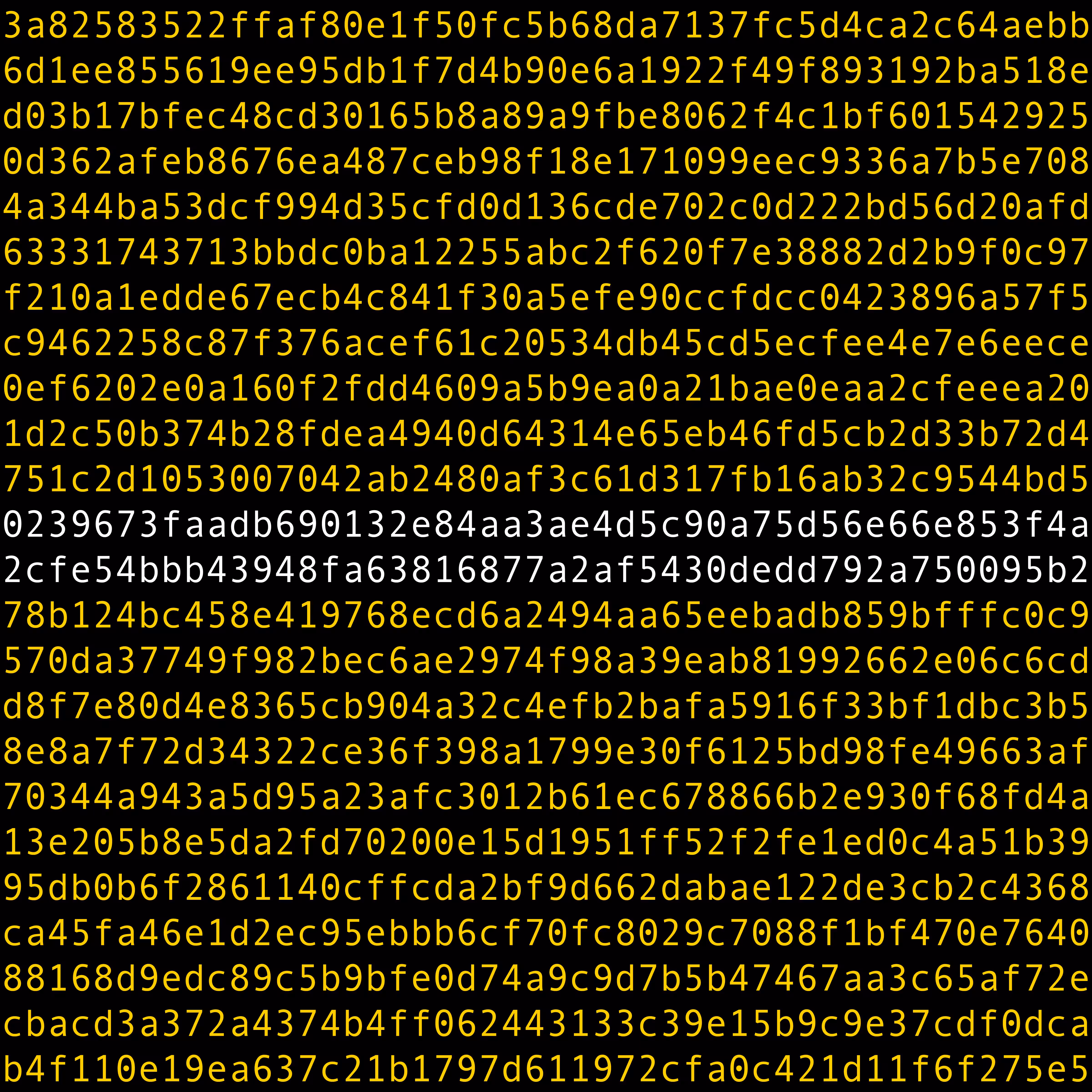 1111 #0081