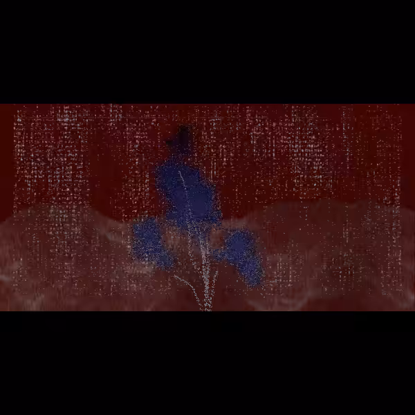 abhāva #20
