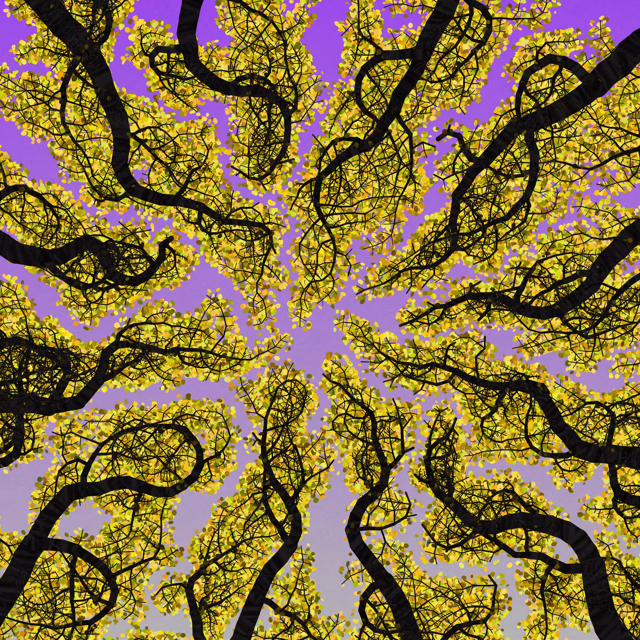 Tree Skyness #197