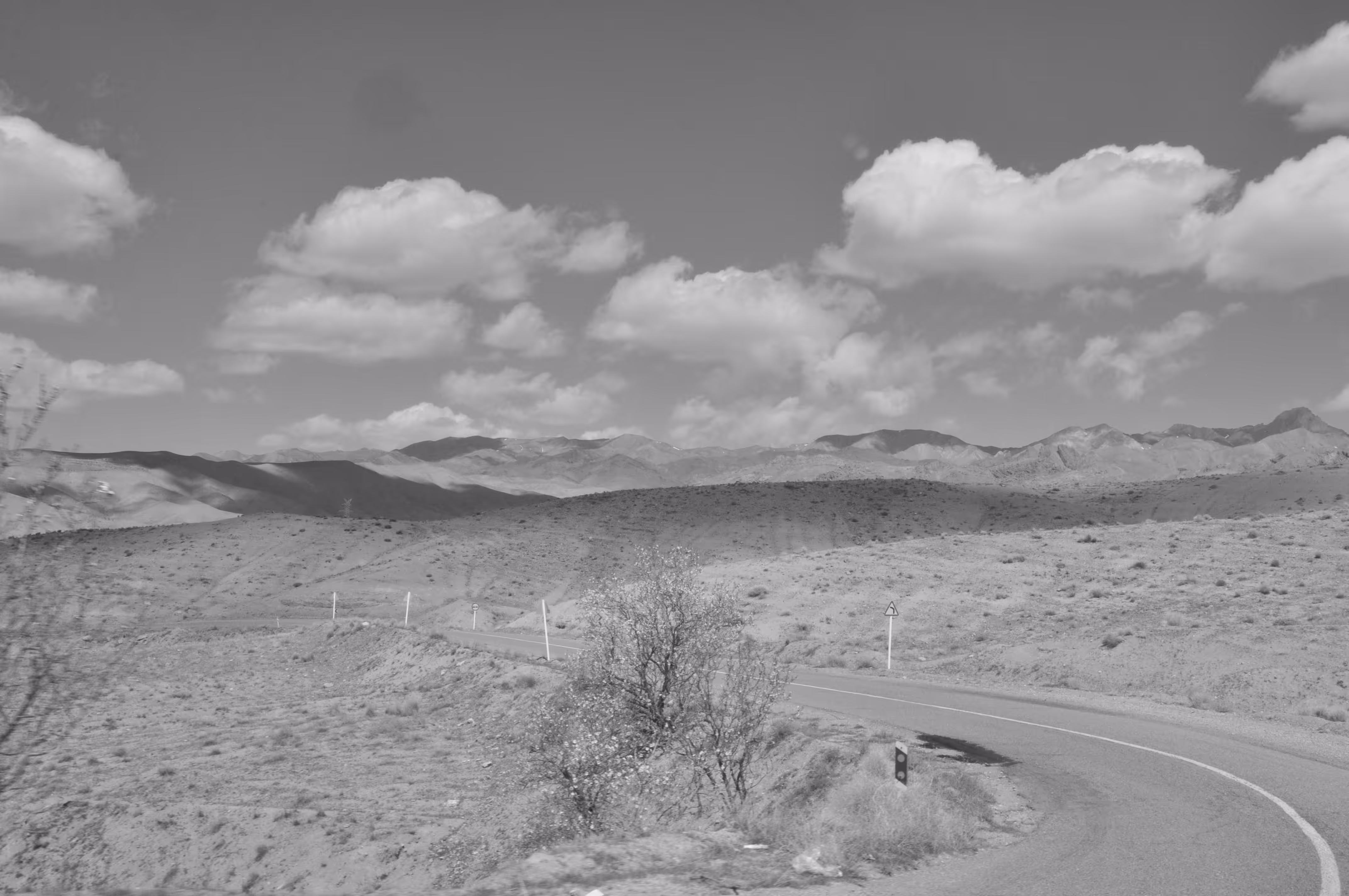 The healing road
