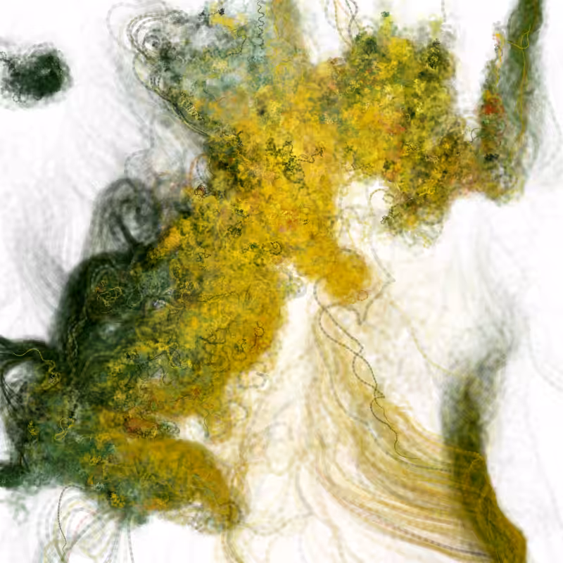Hypericum #9