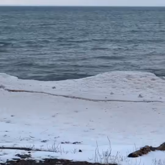 Northern Drip #5