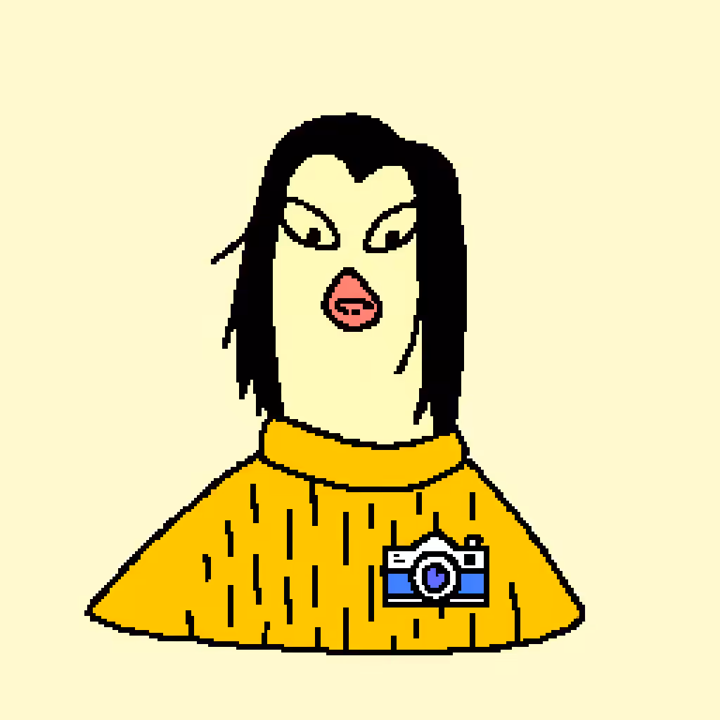 CameraCritic11