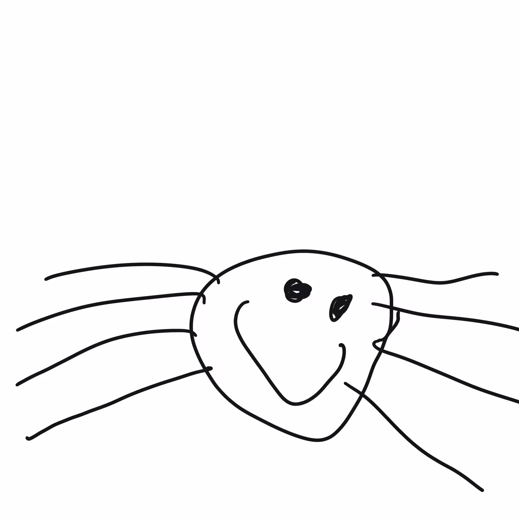 "smiley spider"