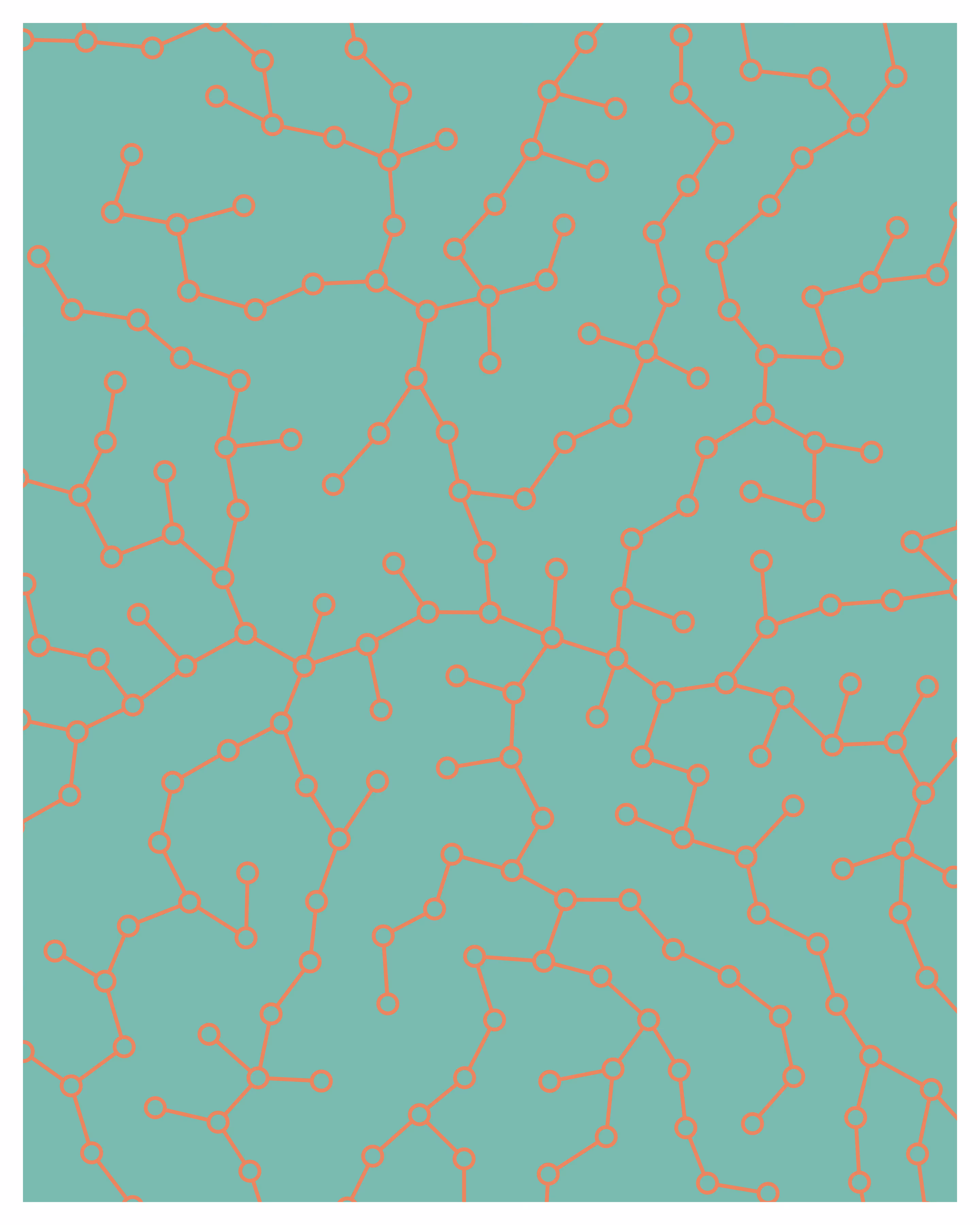 Networks #46