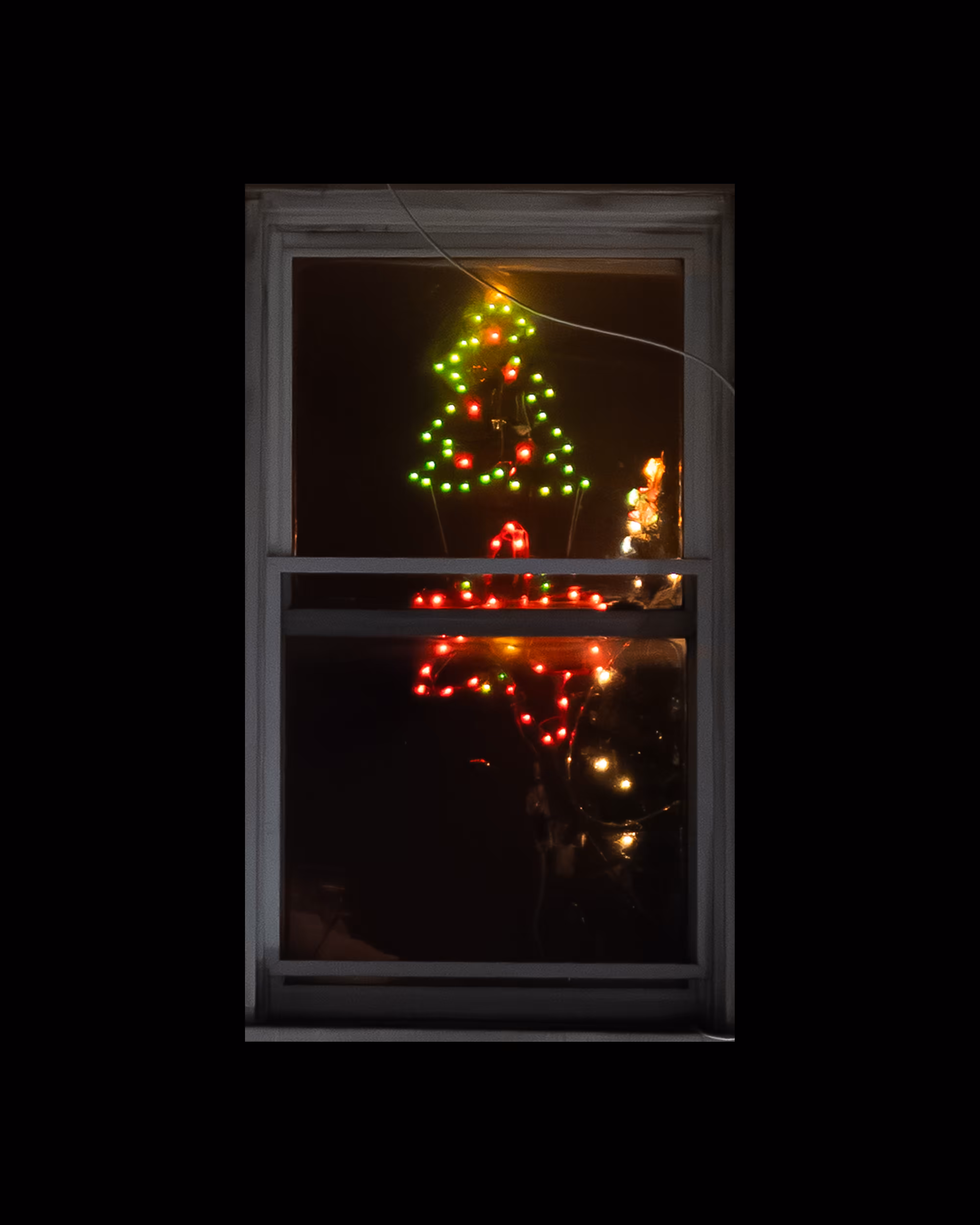WINDOW 771