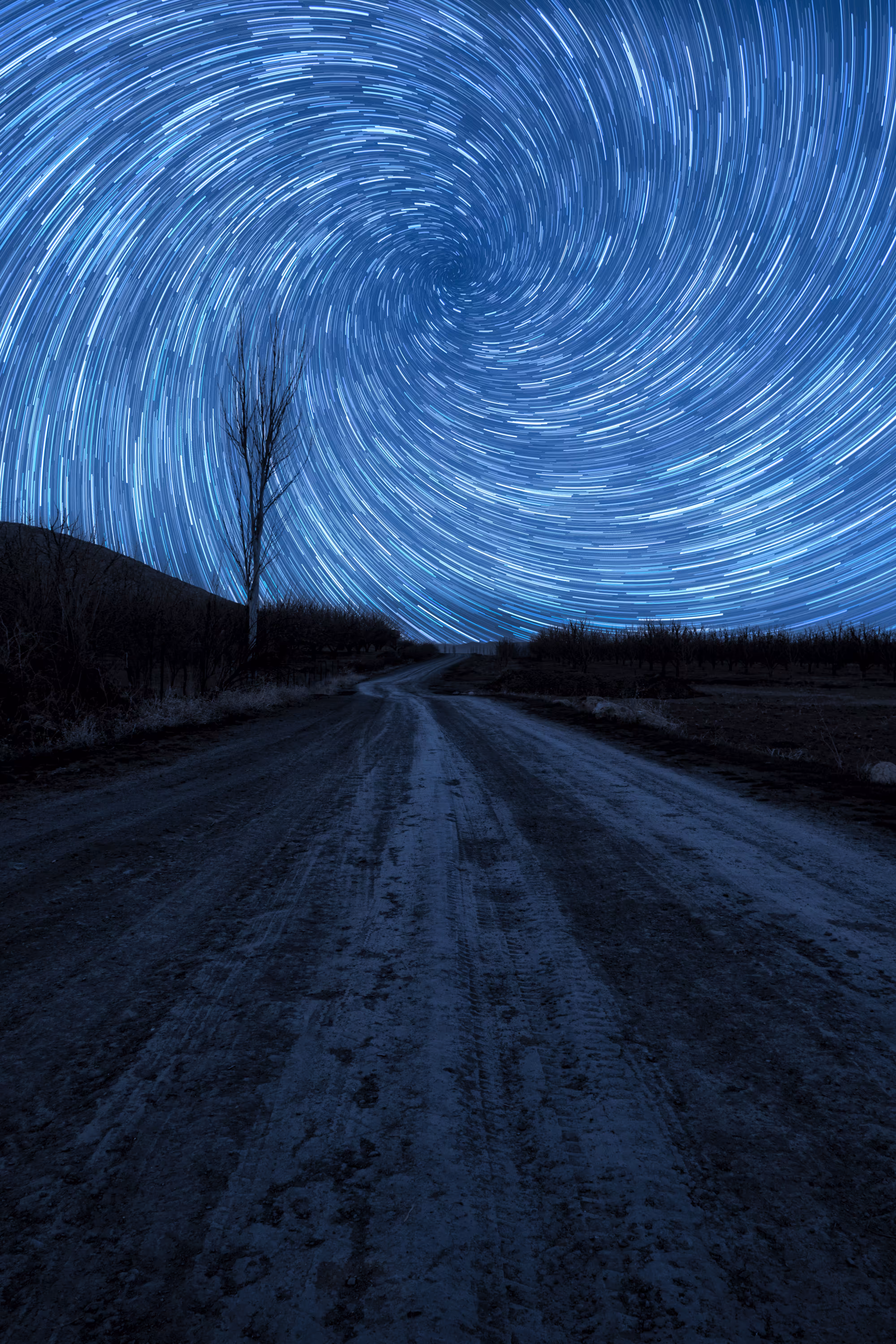 Vortex #41; Blue Road