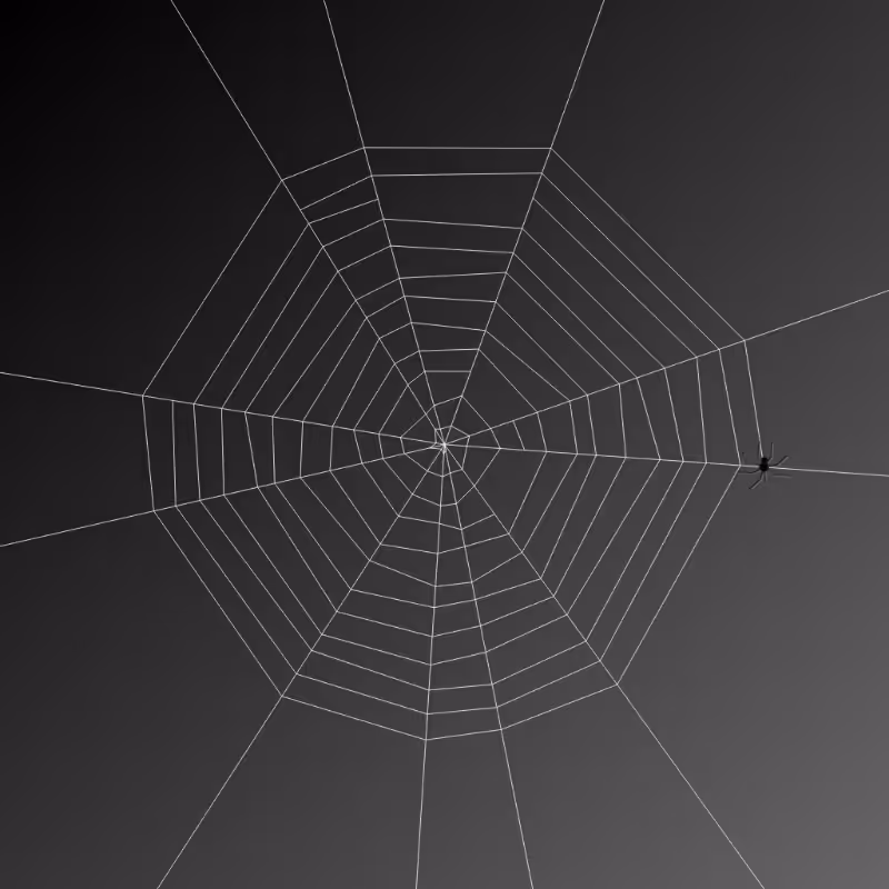 Weaving Spiders #11