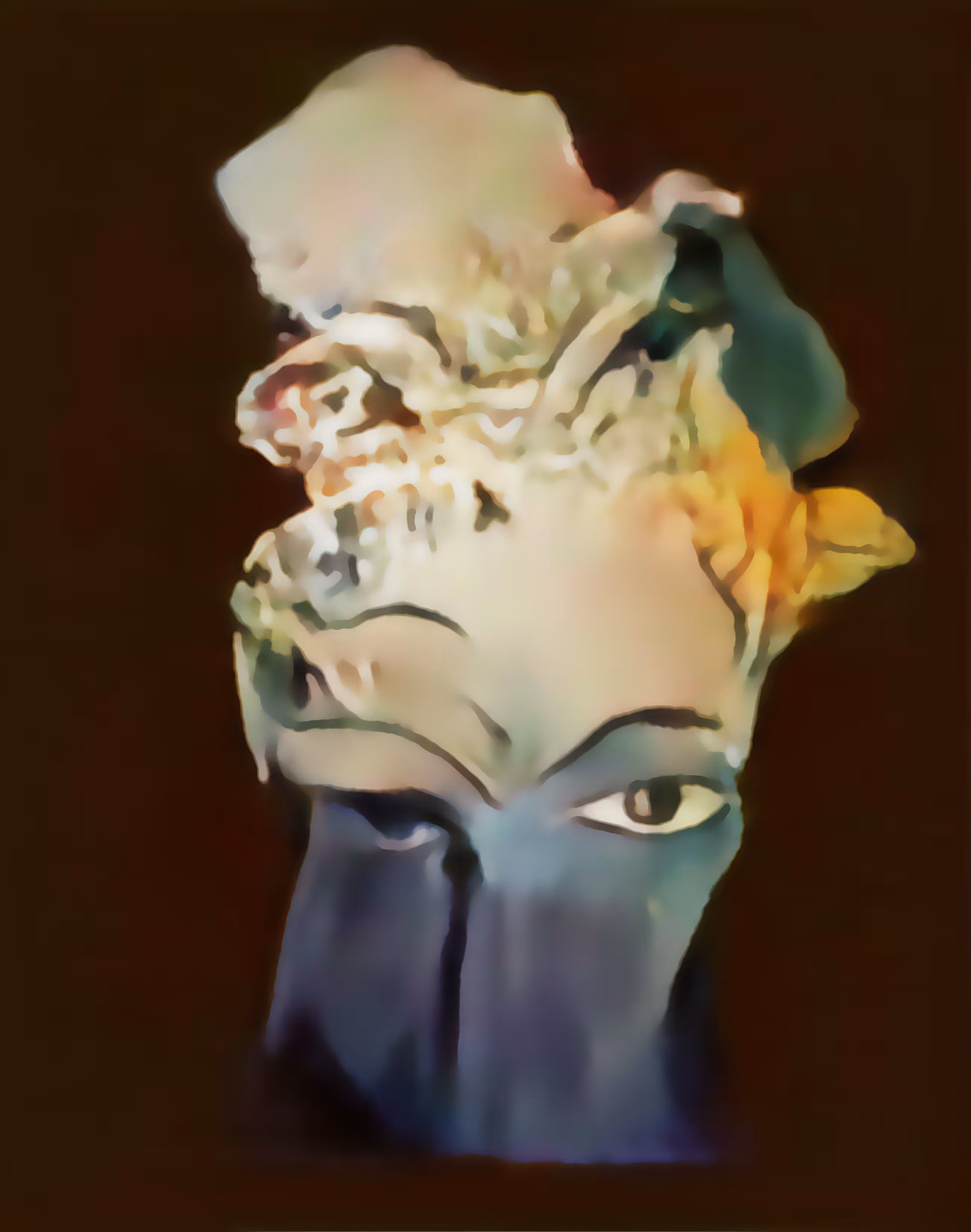 Masked Reality 3