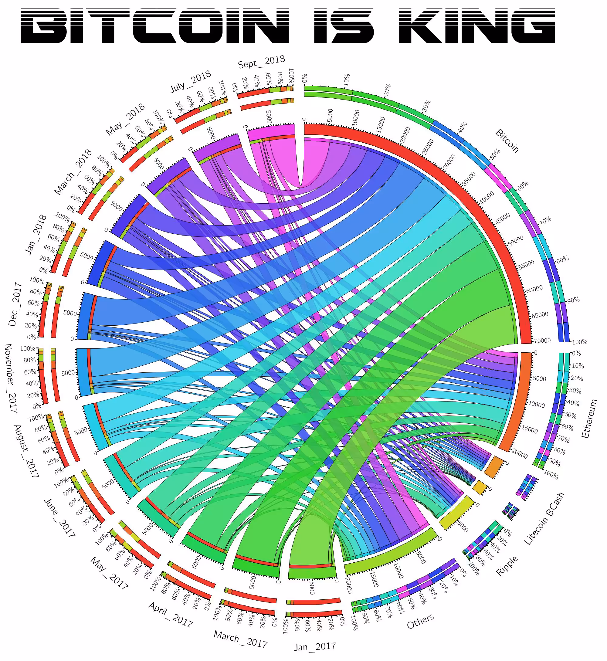 Bitcoin is King