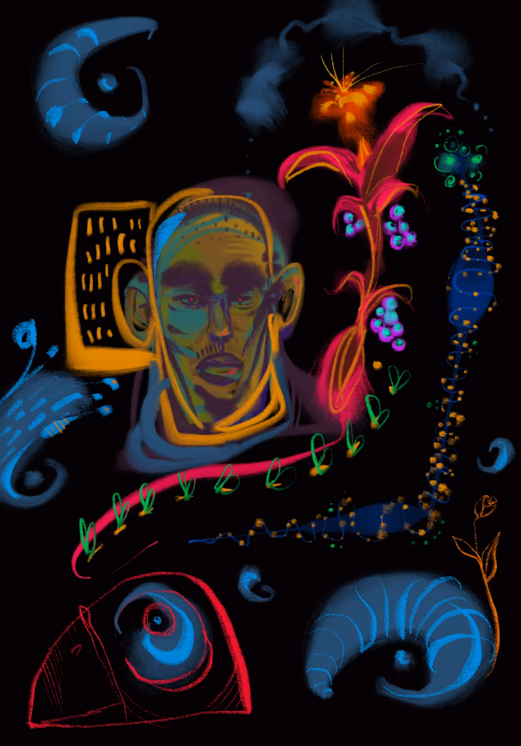 enchanted dreams N.01