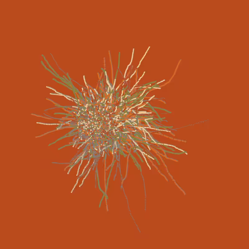 fibinous infection #123