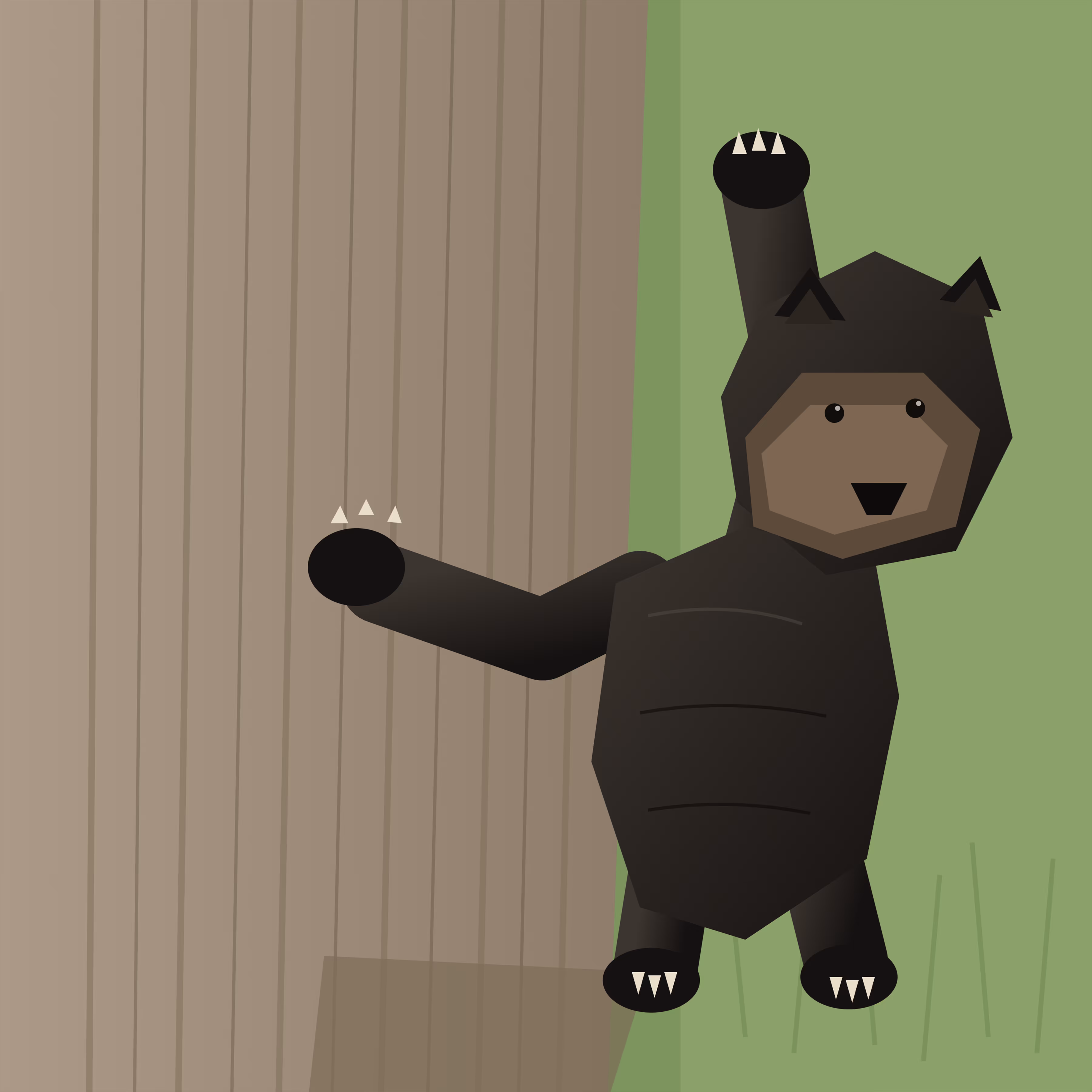 Black Bear