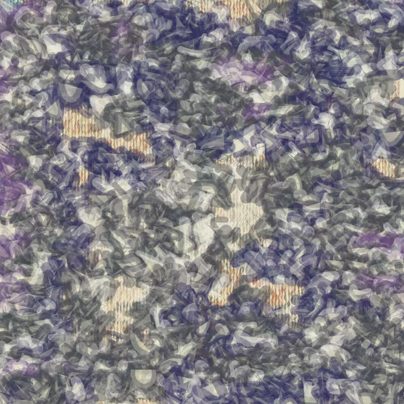 Petri 1500 #1199