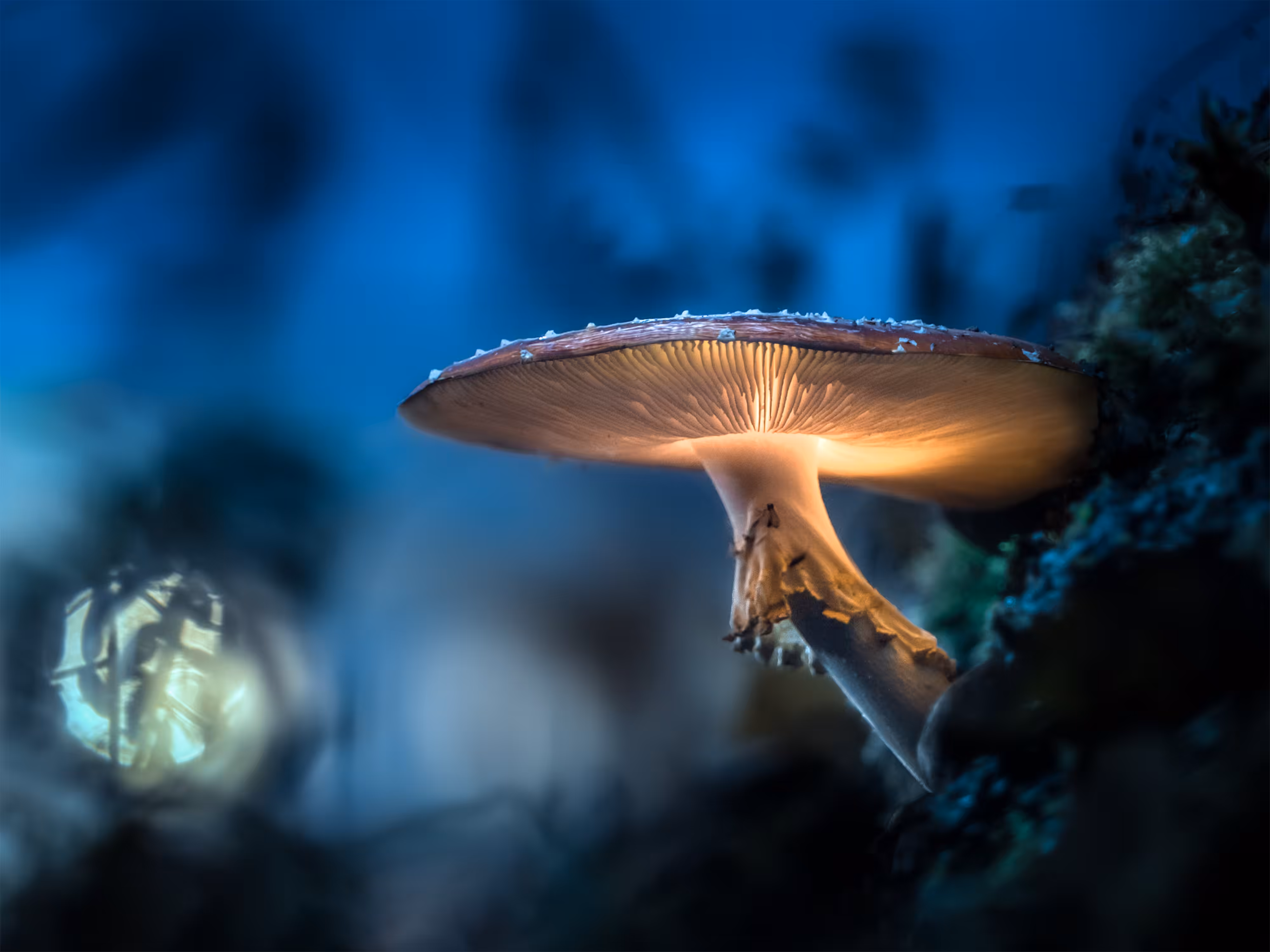 Beam Me Up