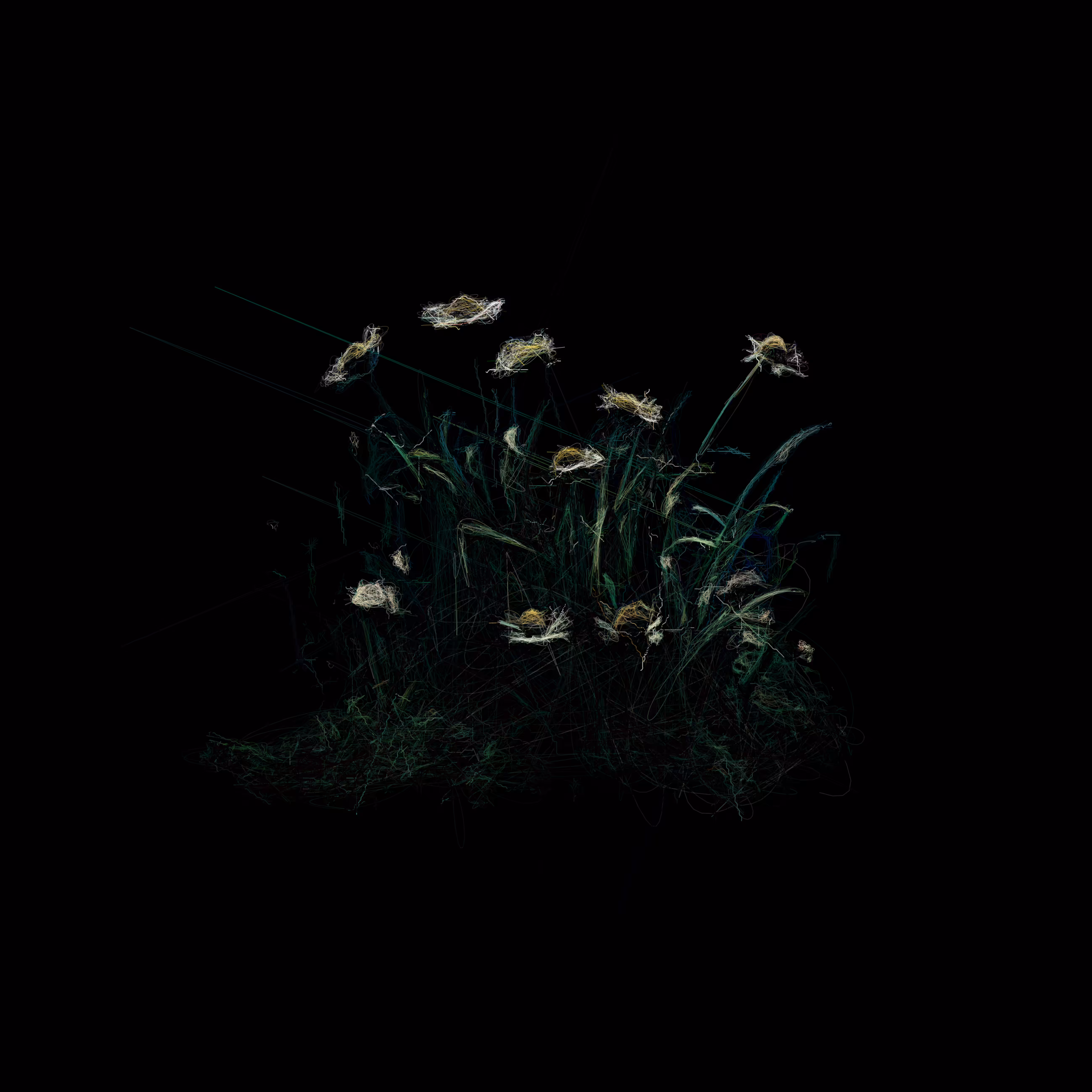 Patch of grass with Pâquerettes I