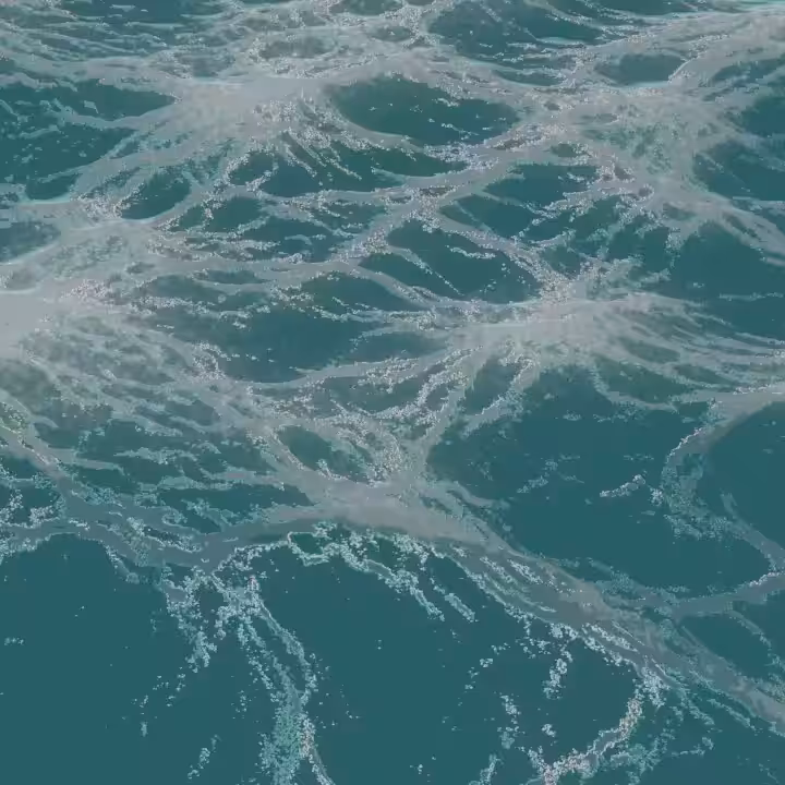 Species in the Waves #jellyfish 