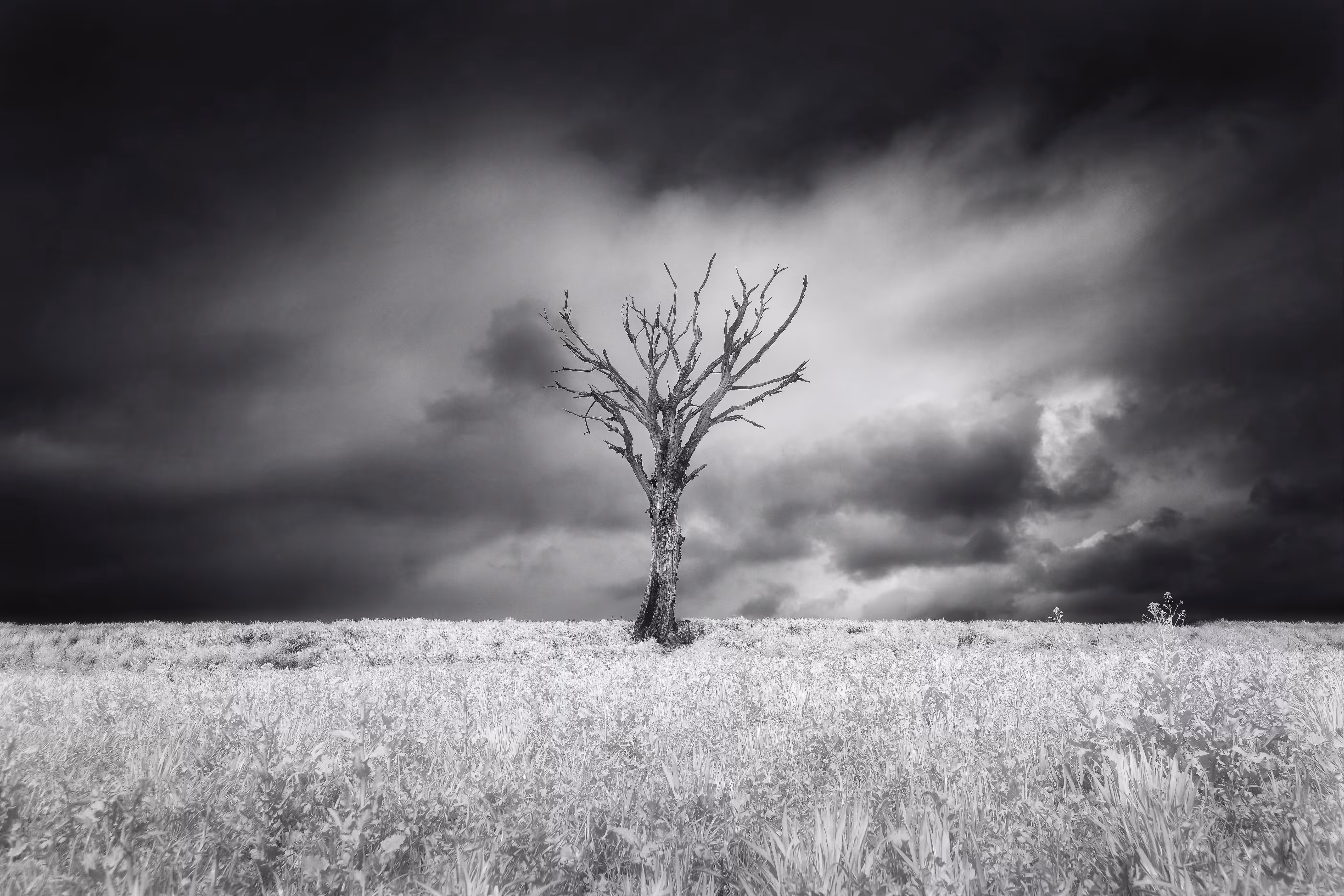 Standing Alone