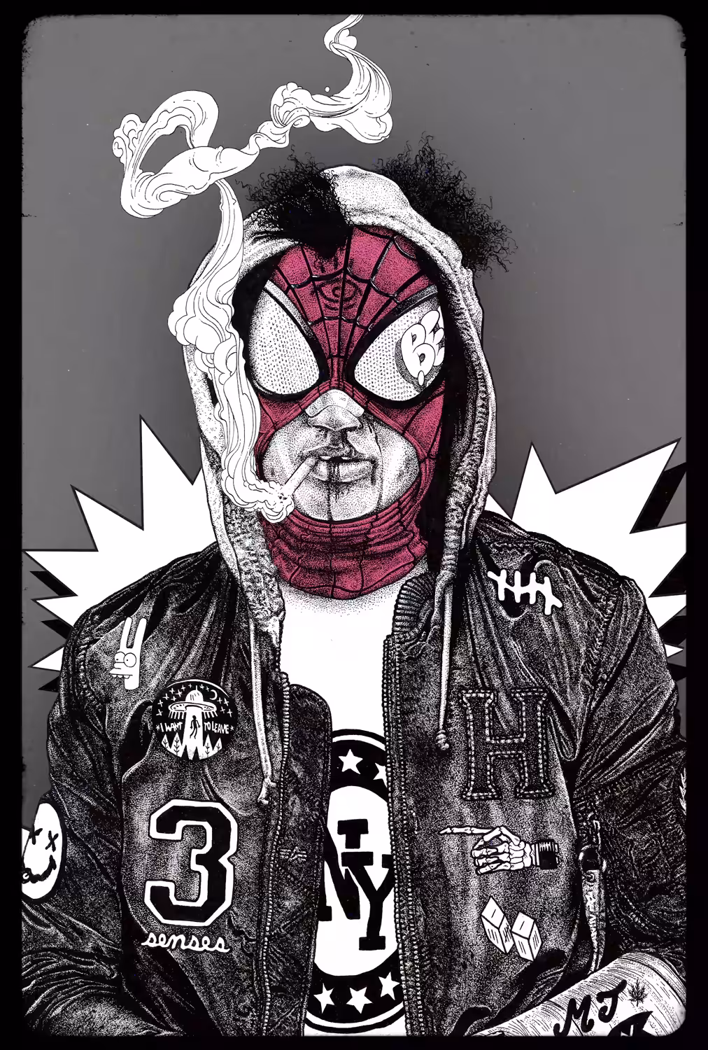 Pider-Han (Haggard Heroes series) 