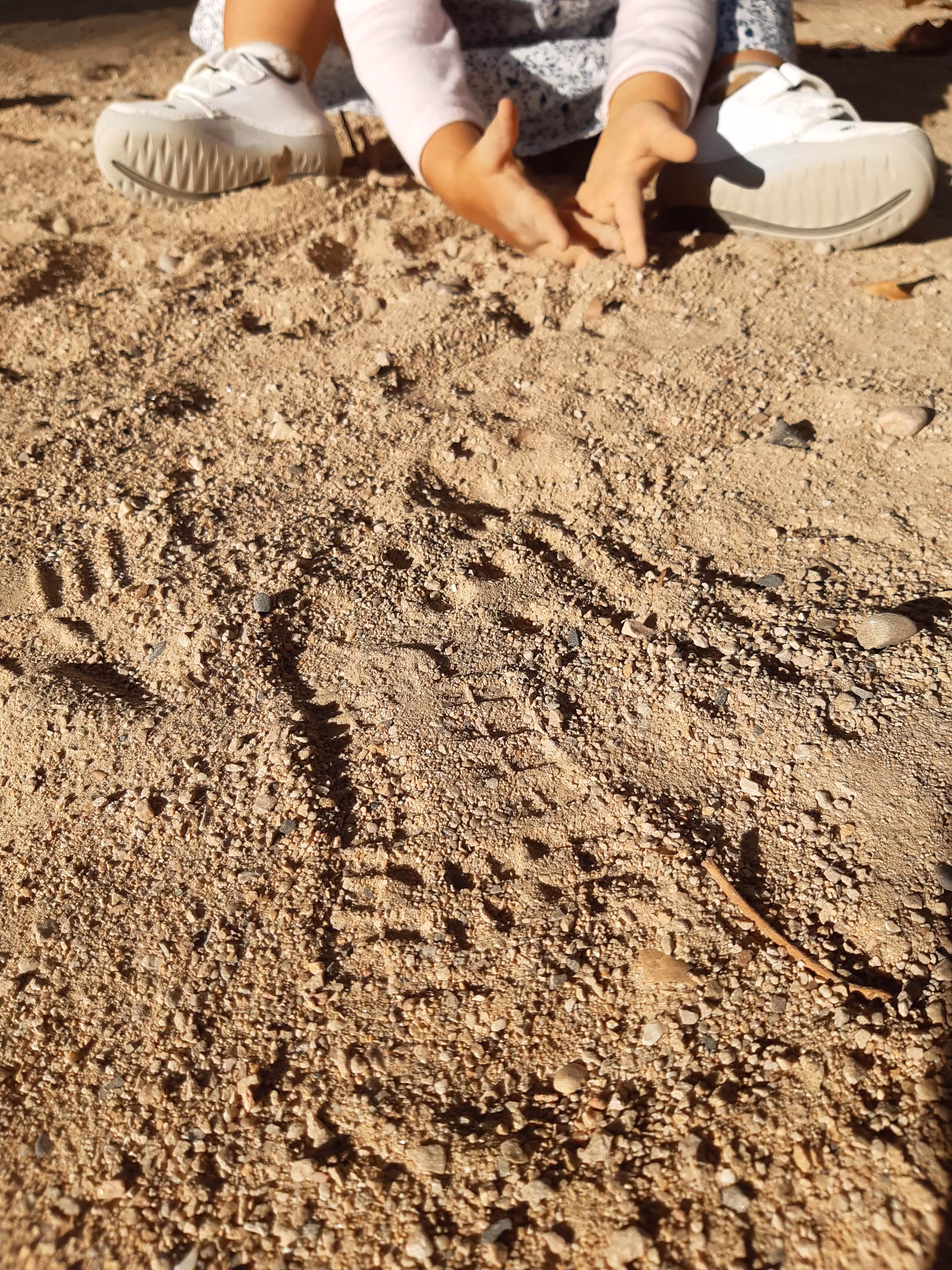 Footprint