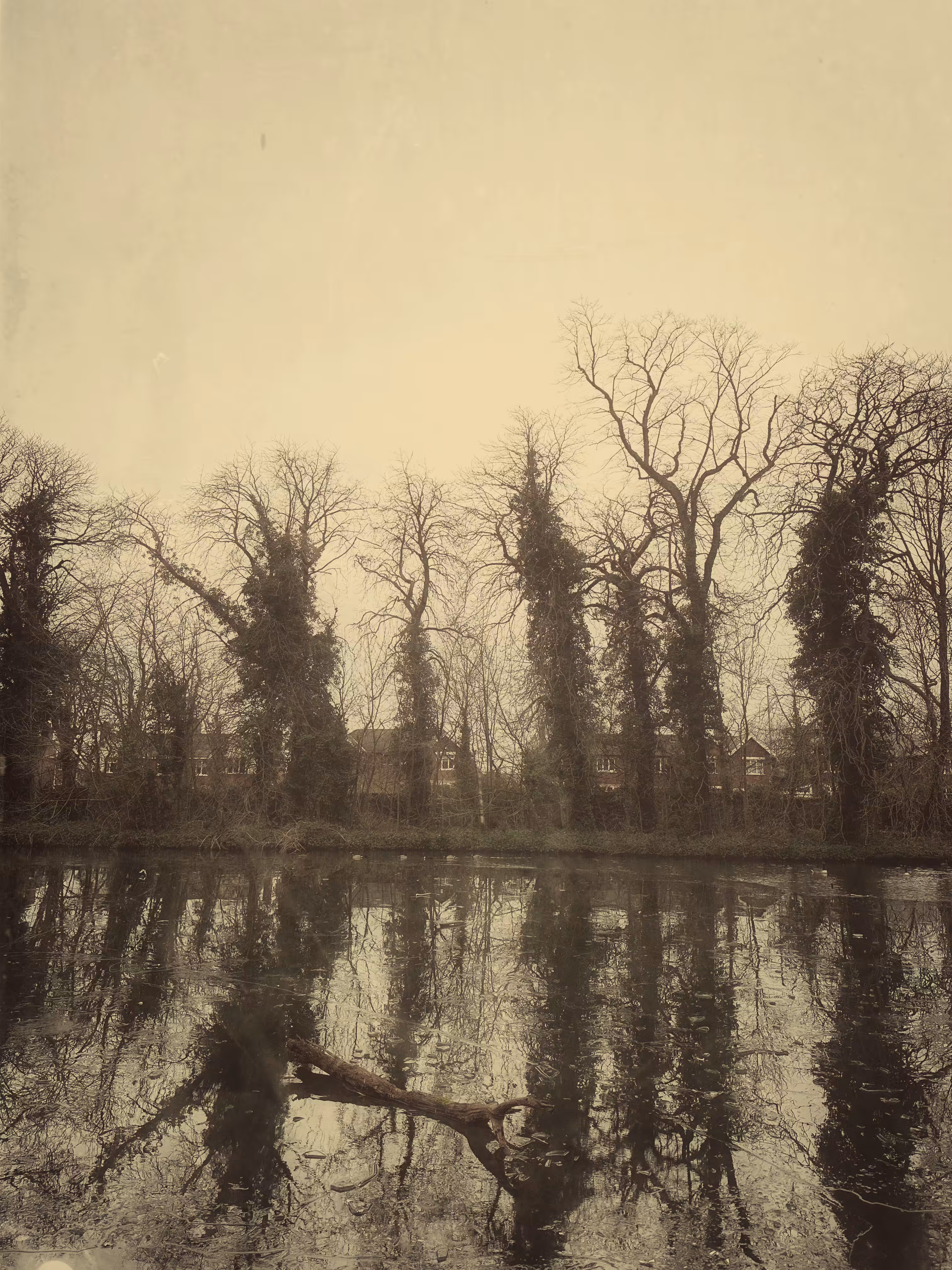Wild Waters